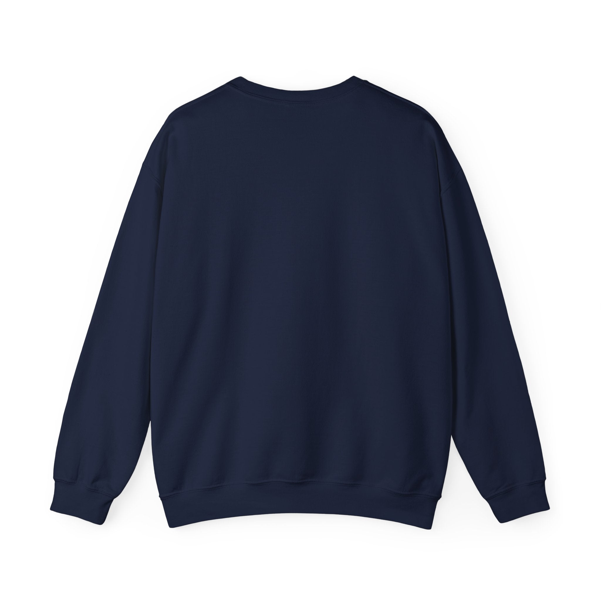 FROM DUST TO STARDUST crewneck sweatshirt — product view 19