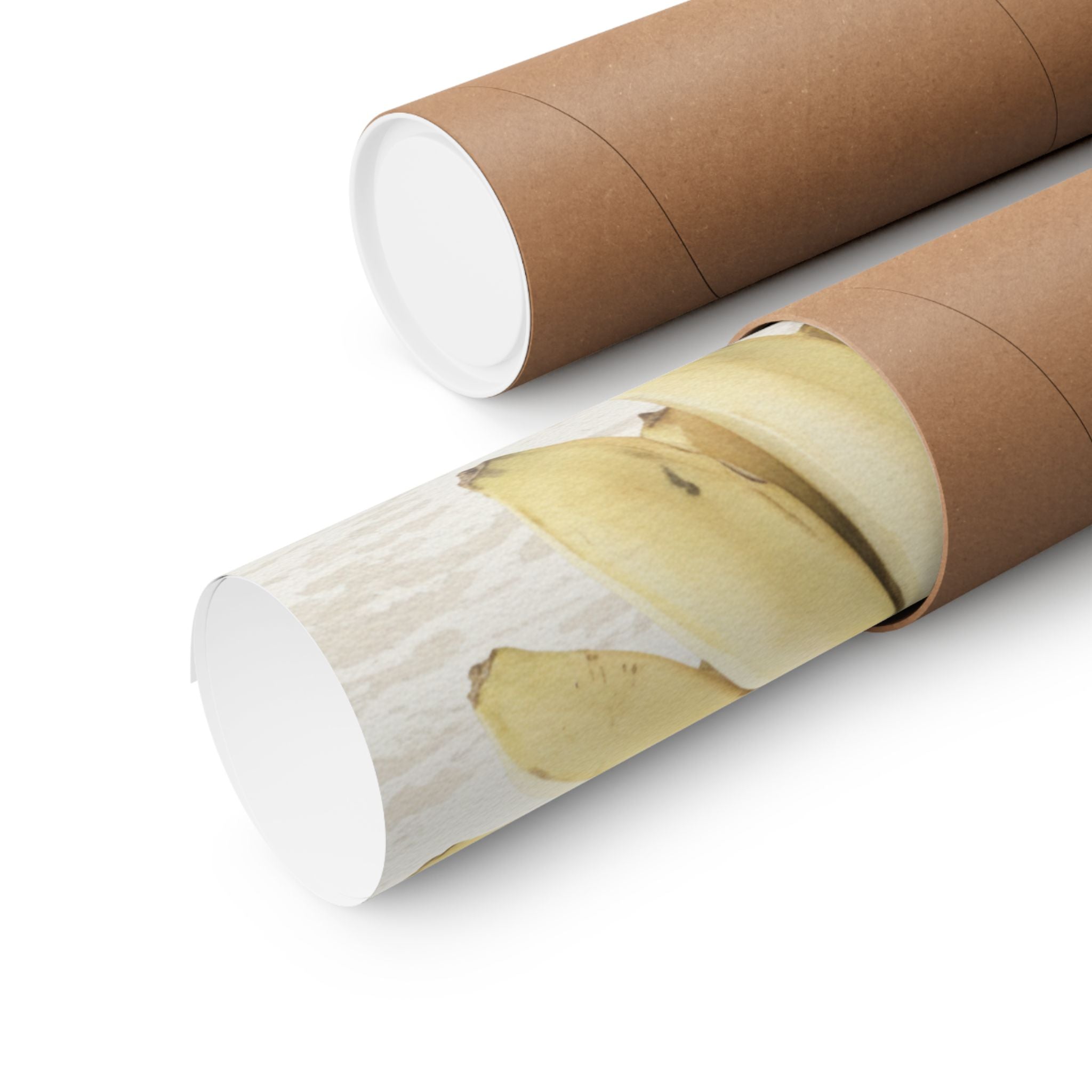 Botanical — Bananas — Matte Poster