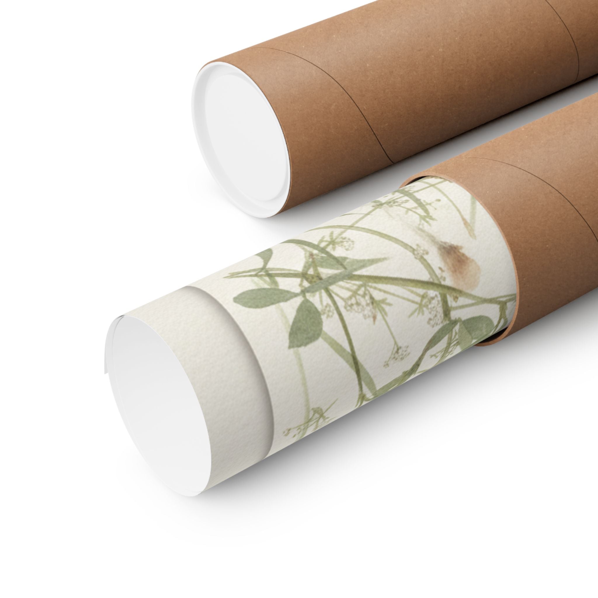 Botanical — Flower — Matte Poster