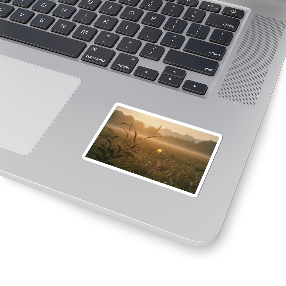 Scenic Nature — Tree Cricket (Matsumushi); Firefly (Hotaru), From The Picture Book Of Crawling C — Kiss-Cut Sticker