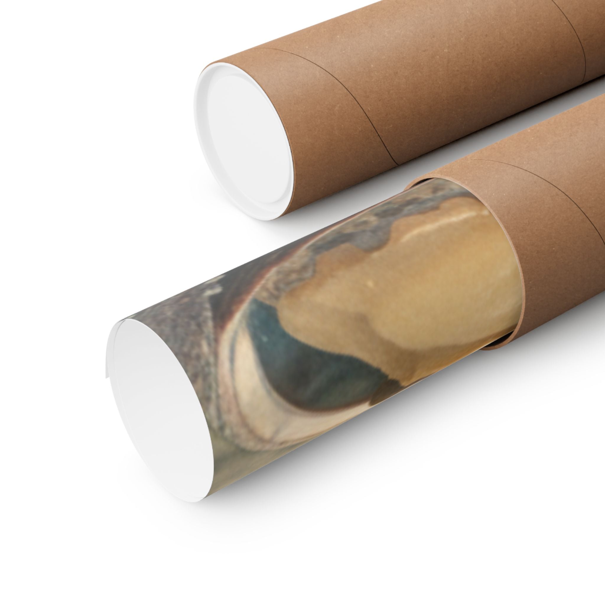 Scenic Nature — Shells Under Water — Matte Poster