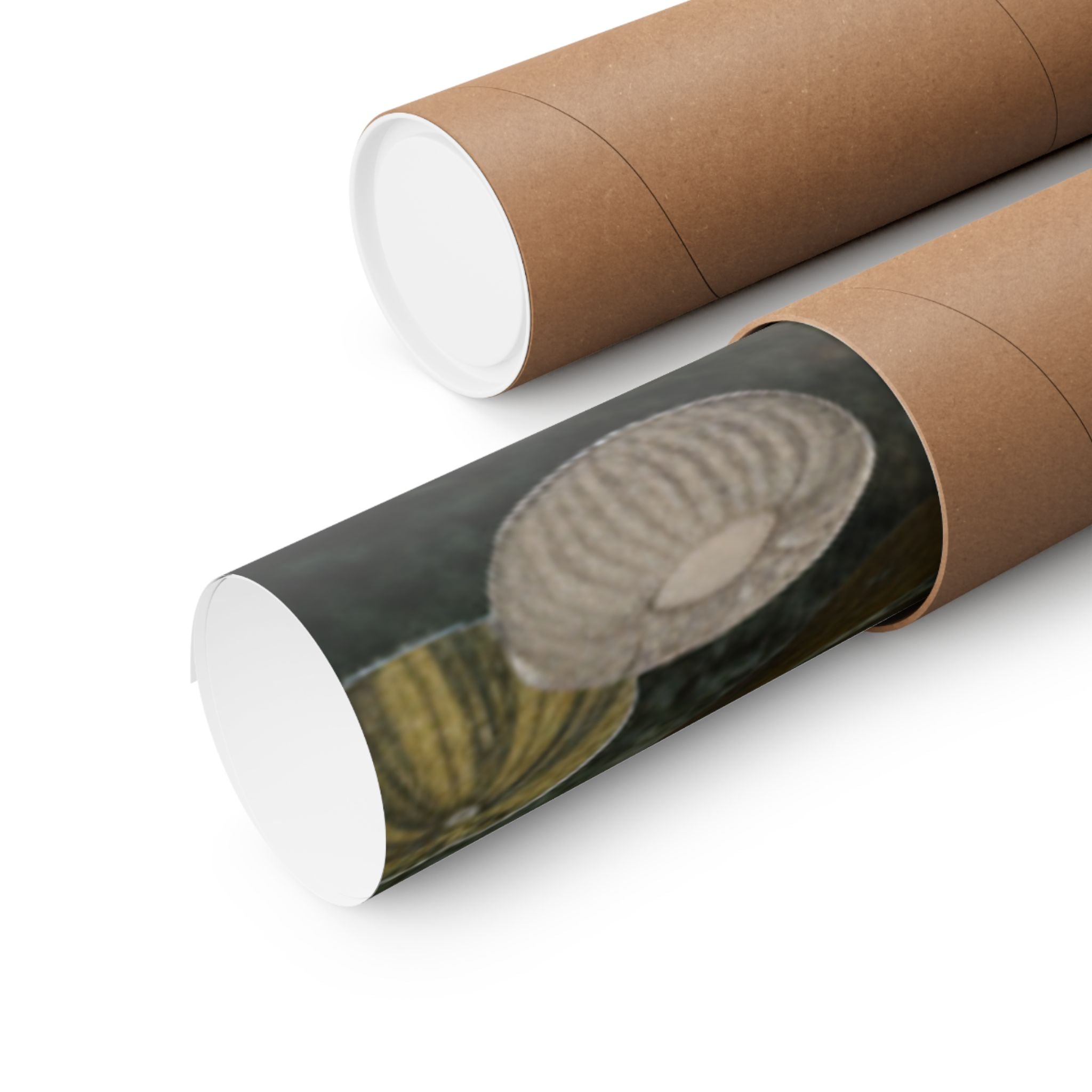 Scenic Nature — Shells Under Water — Matte Poster