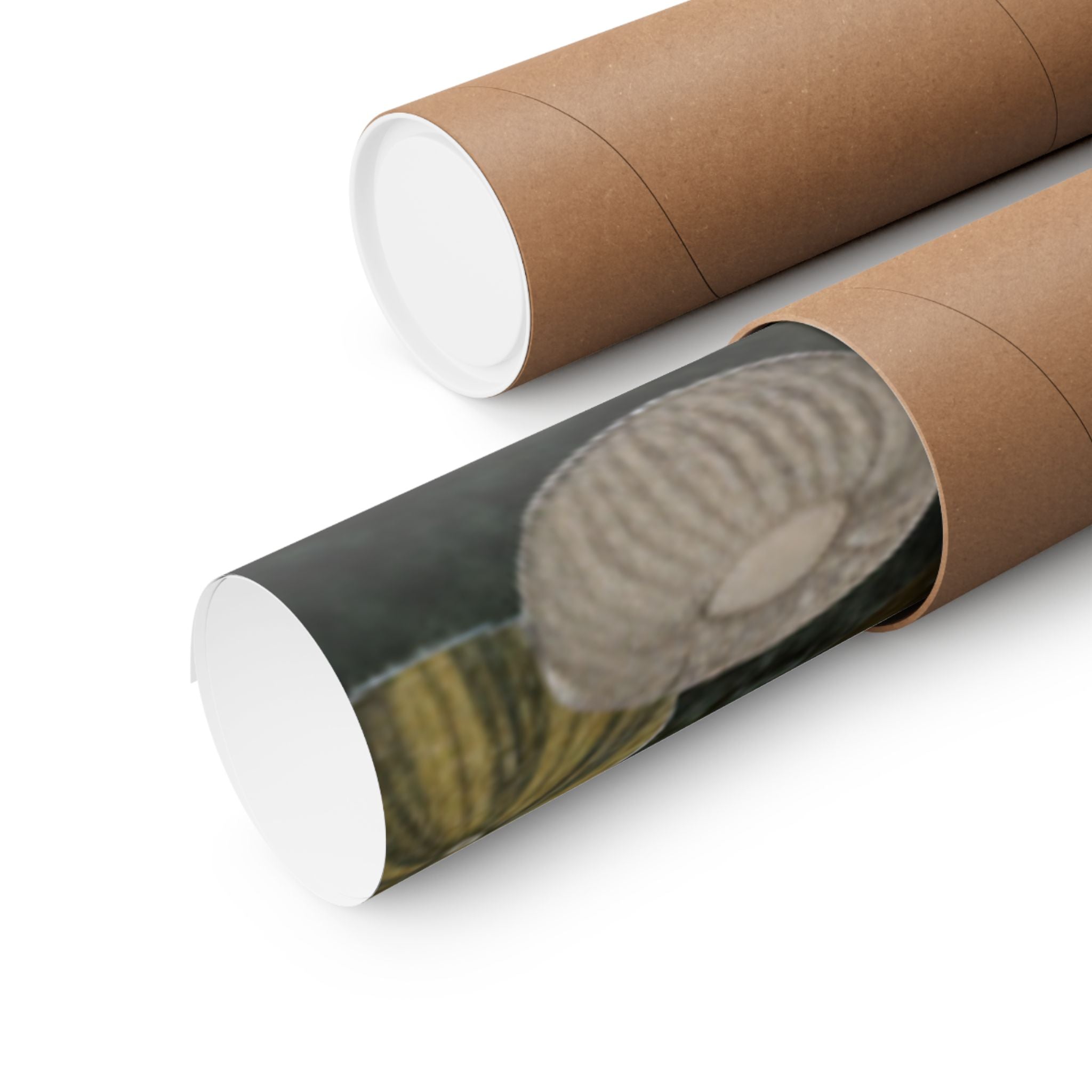 Scenic Nature — Shells Under Water — Matte Poster