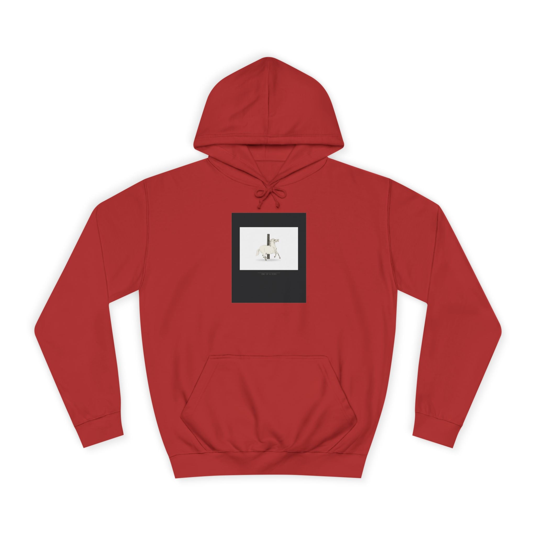 URBAN LEGEND hoodie — product view 18