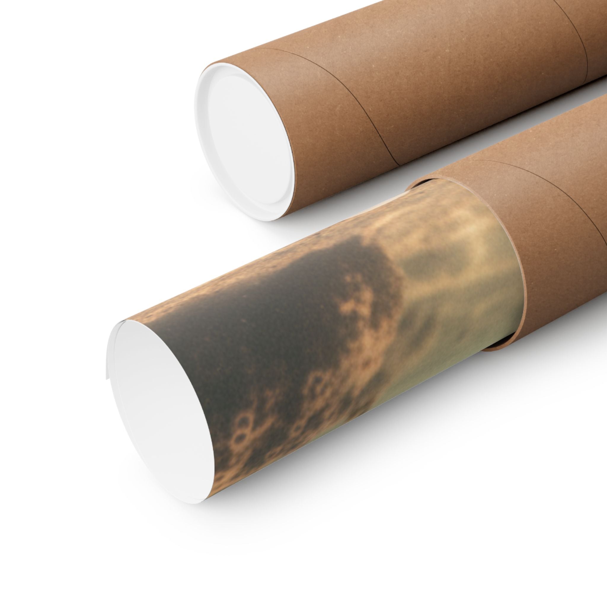 Scenic Nature — Shells Under Water — Matte Poster