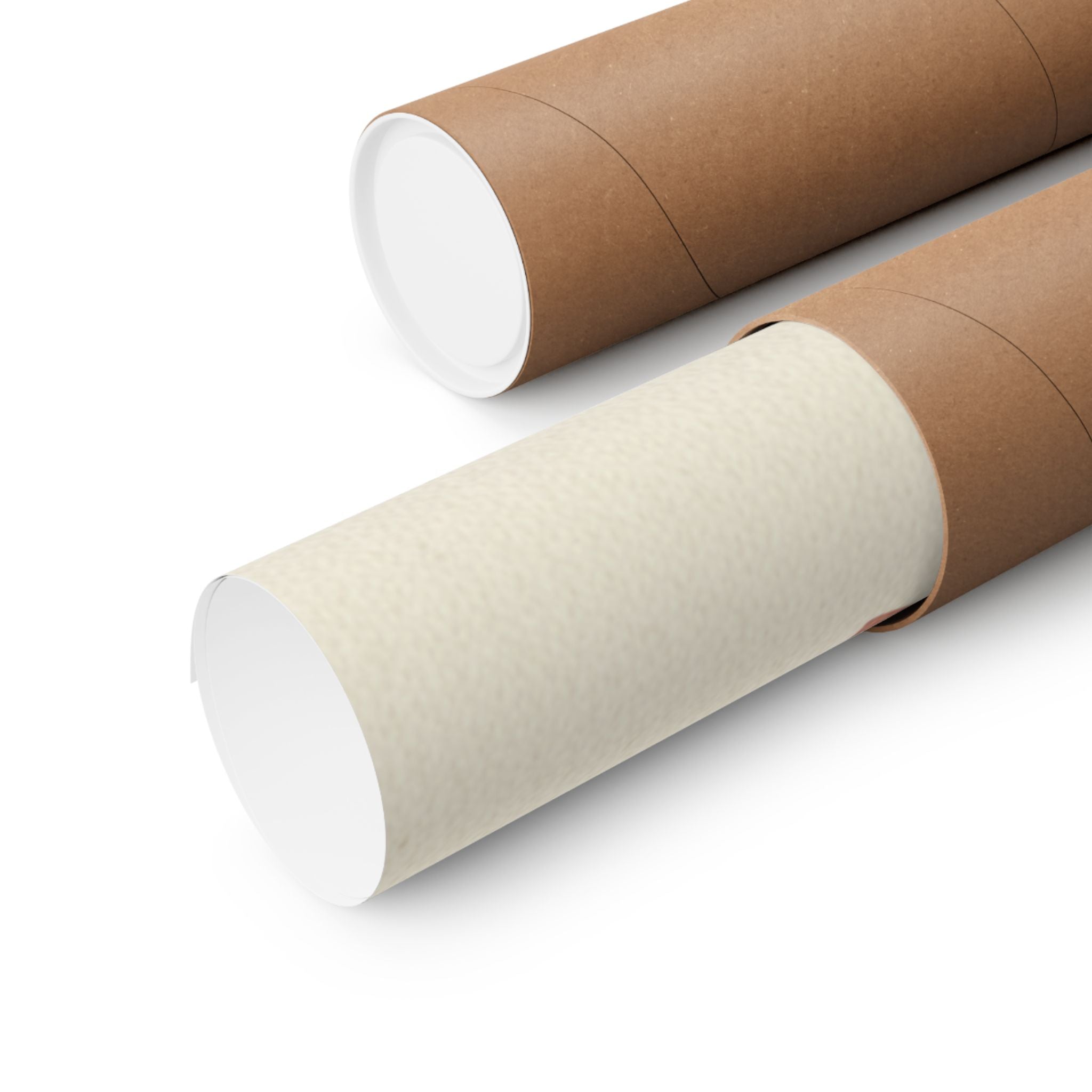 Botanical — Flower Vase With Stand; Dress Hanging On A Clothesrack — Matte Poster