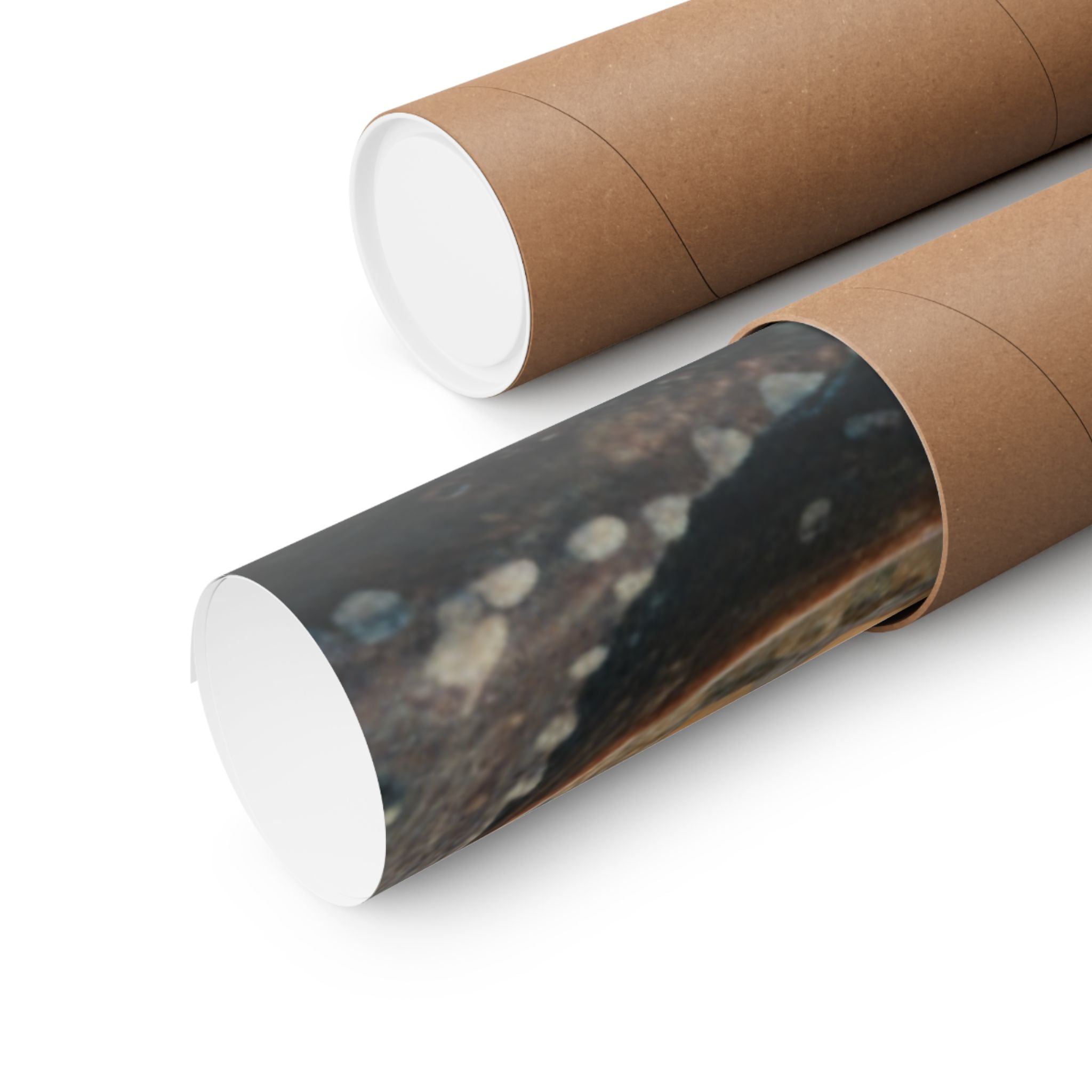 Scenic Nature — Shells Under Water — Matte Poster