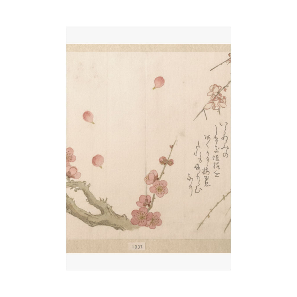 Botanical — Plum Blossom — Matte Poster