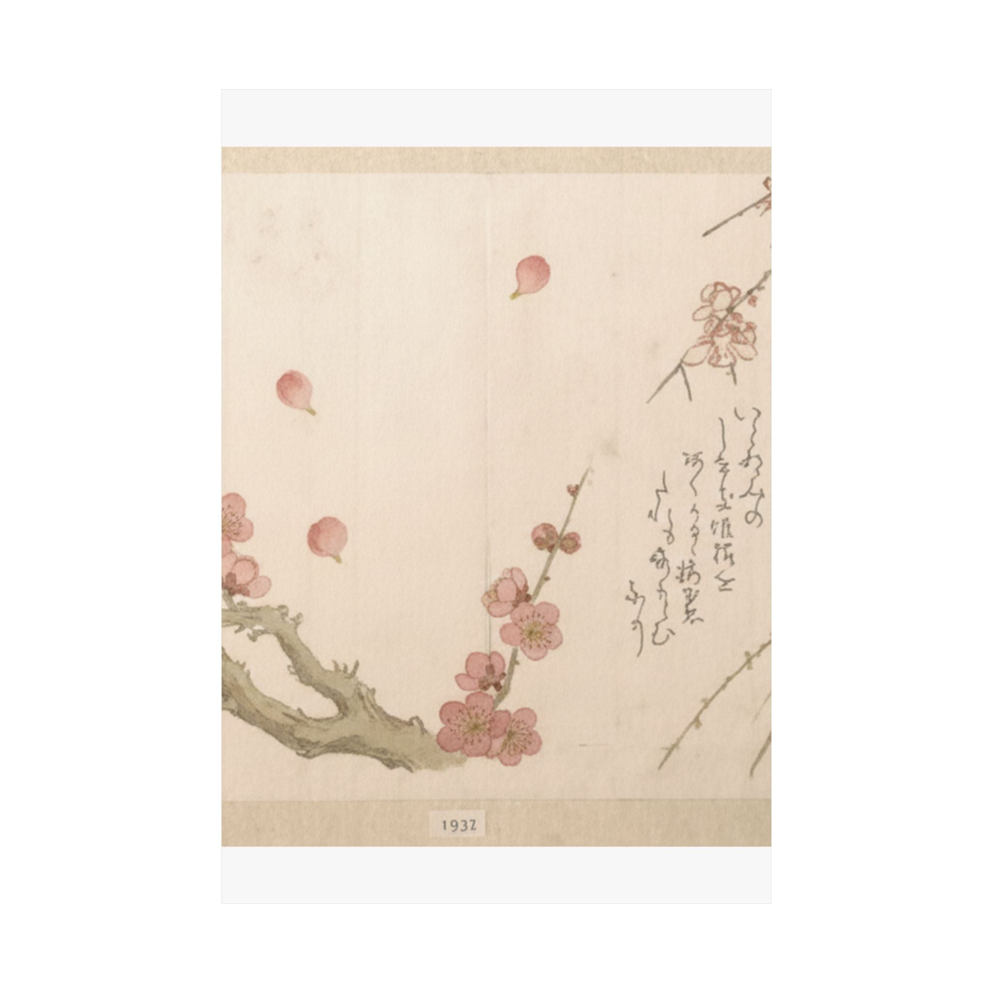 Botanical — Plum Blossom — Matte Poster