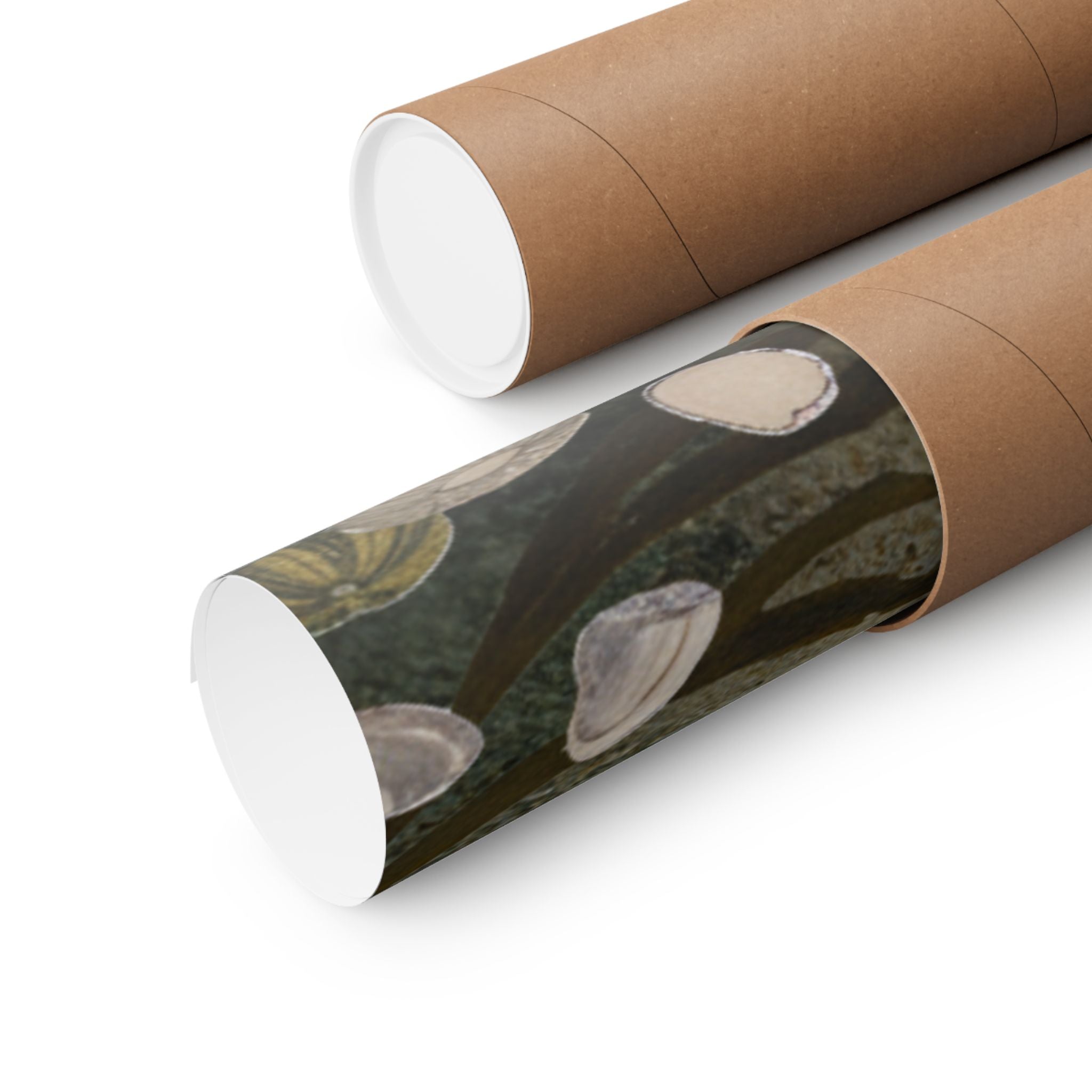 Scenic Nature — Shells Under Water — Matte Poster
