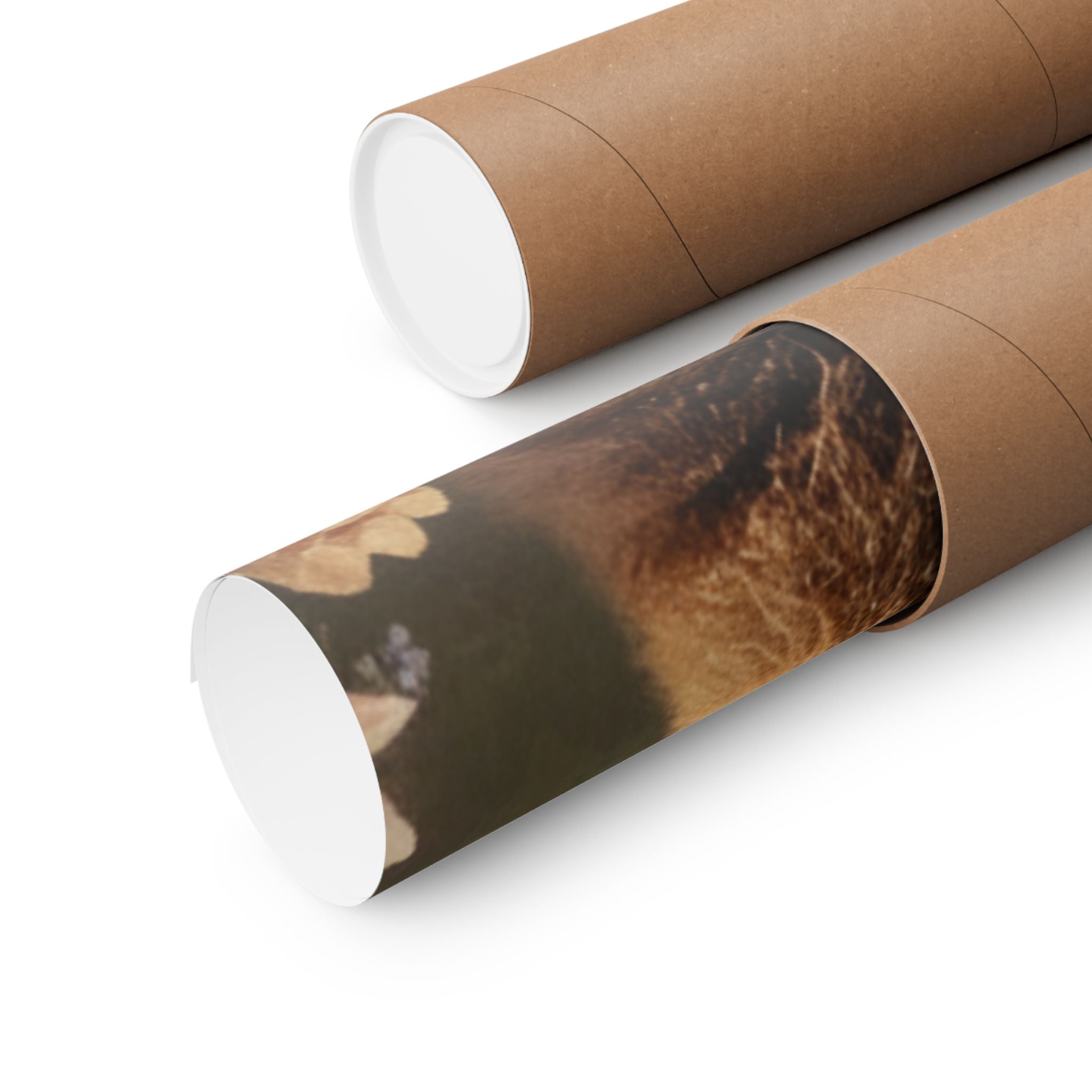 Scenic Nature — Bear — Matte Poster