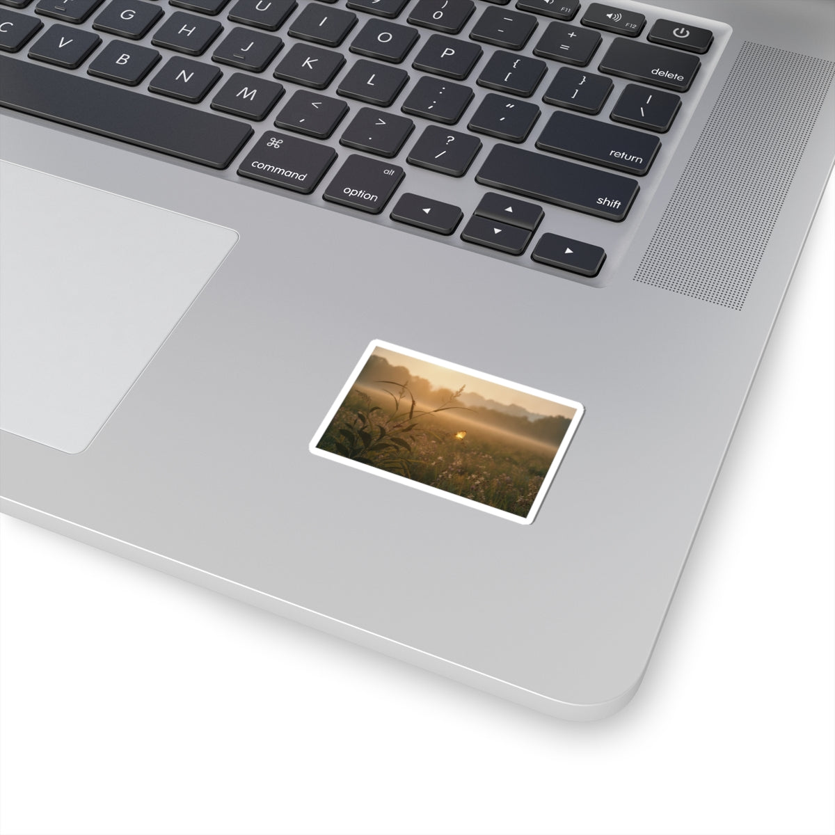 Scenic Nature — Tree Cricket (Matsumushi); Firefly (Hotaru), From The Picture Book Of Crawling C — Kiss-Cut Sticker
