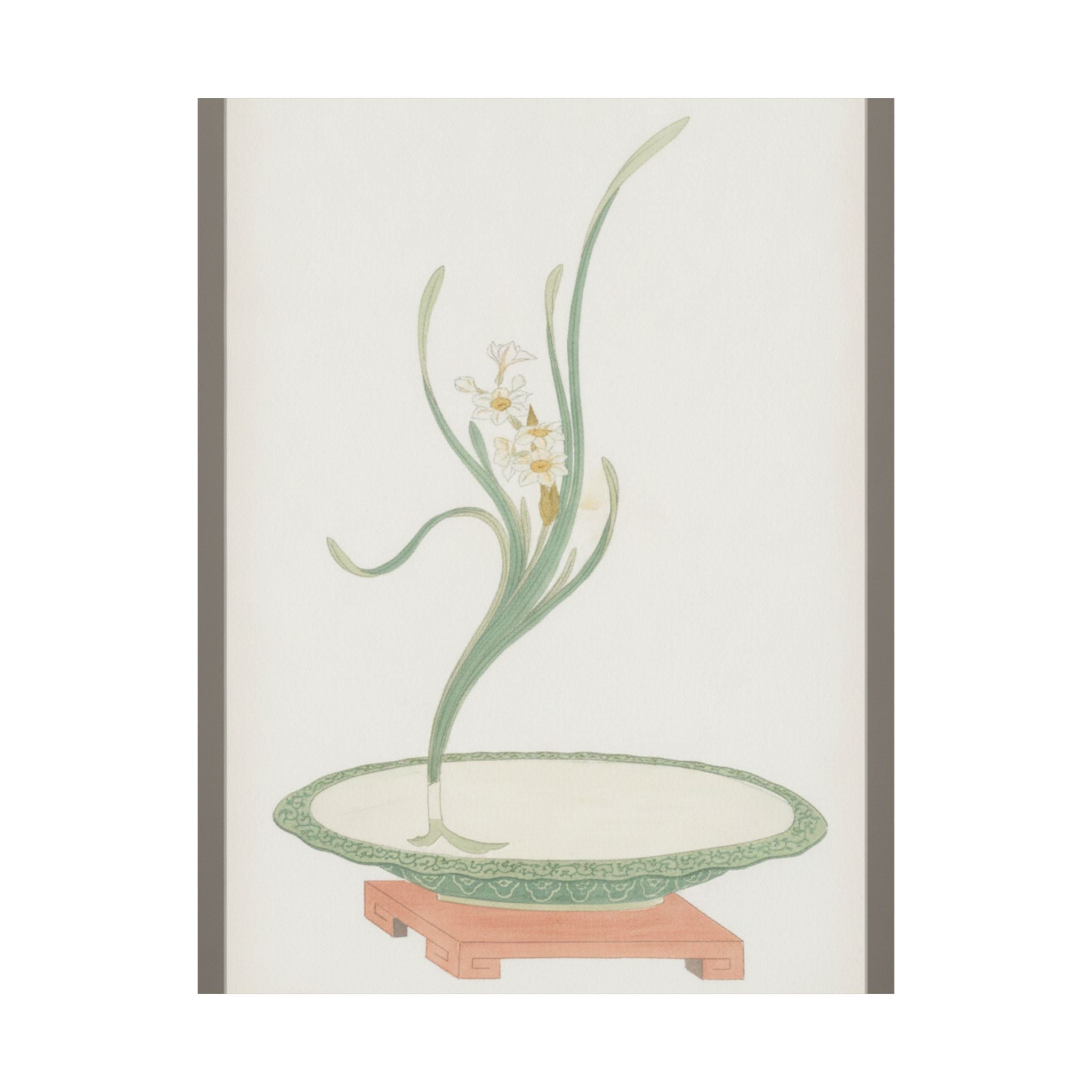 Watercolor — Flower Arrangement Of Suisen (Narcissus) In A Flat Green Dish — Matte Poster