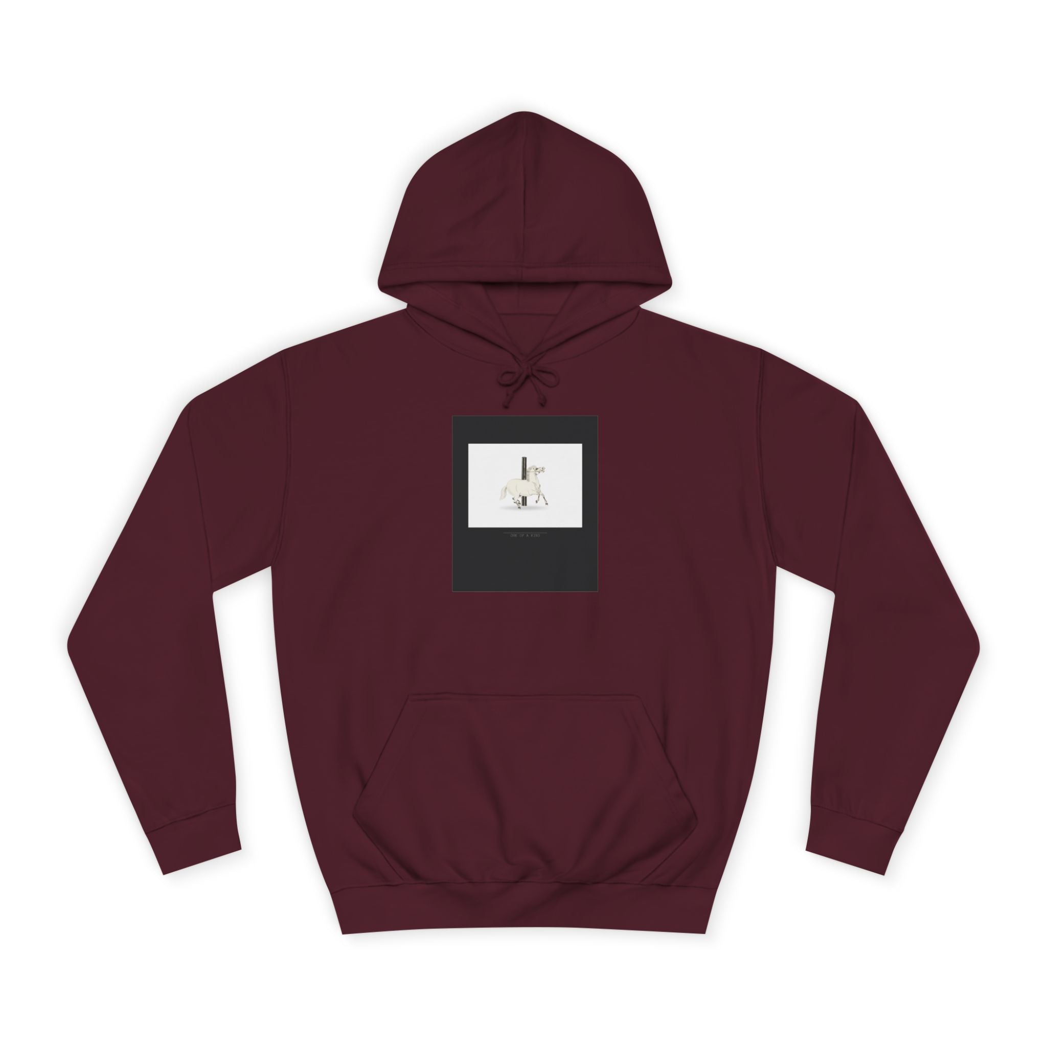 URBAN LEGEND hoodie — product view 17