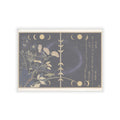 Celestial — Katydid (Umaoi-Mushi); Centipede, (Mukade), From The Picture Book Of Crawling Cr — Kiss-Cut Sticker
