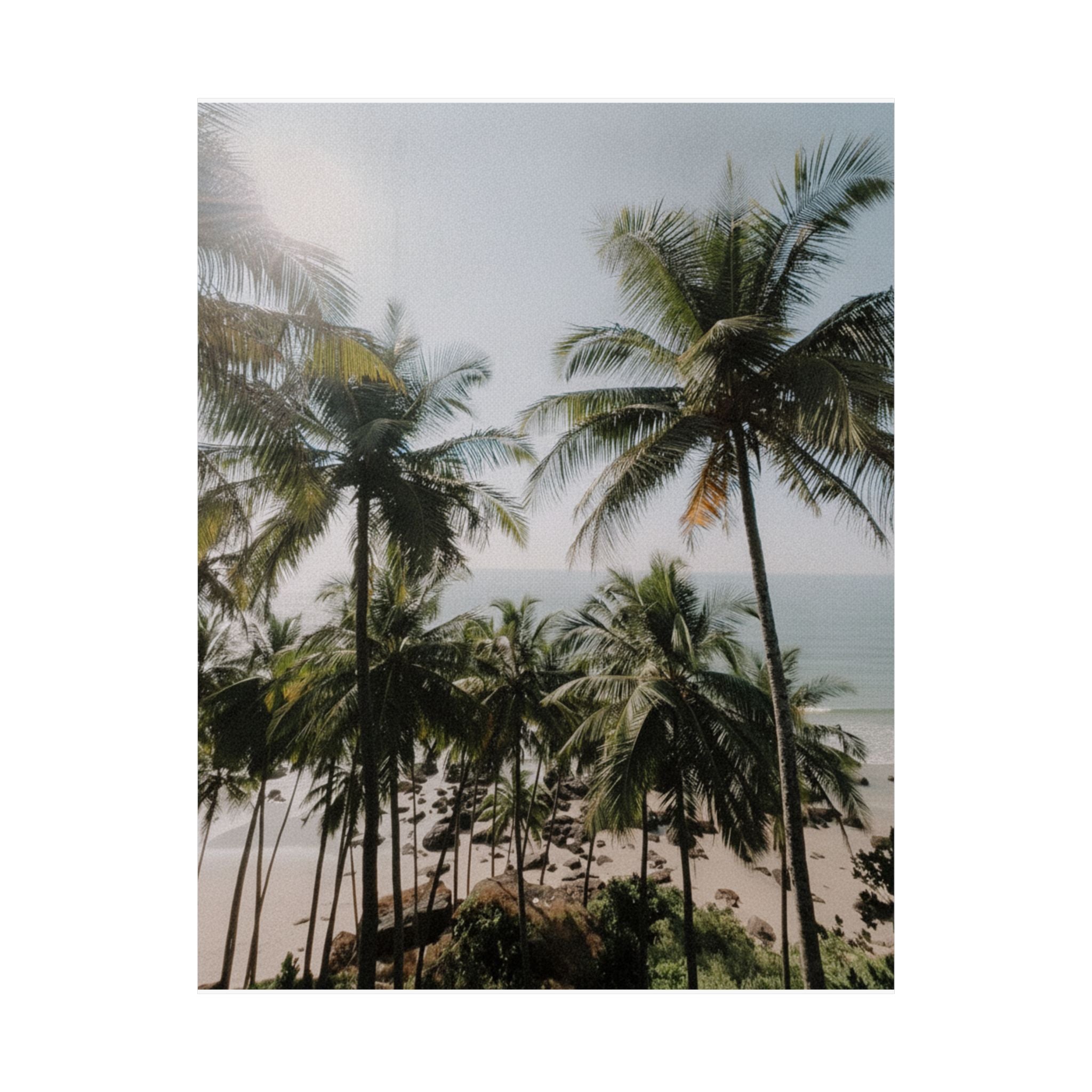Cinematic — Palm — Matte Poster