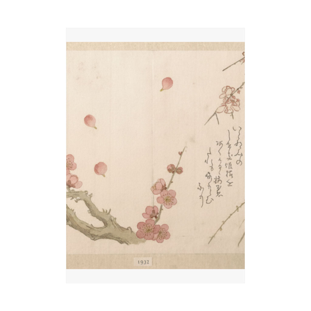 Botanical — Plum Blossom — Matte Poster