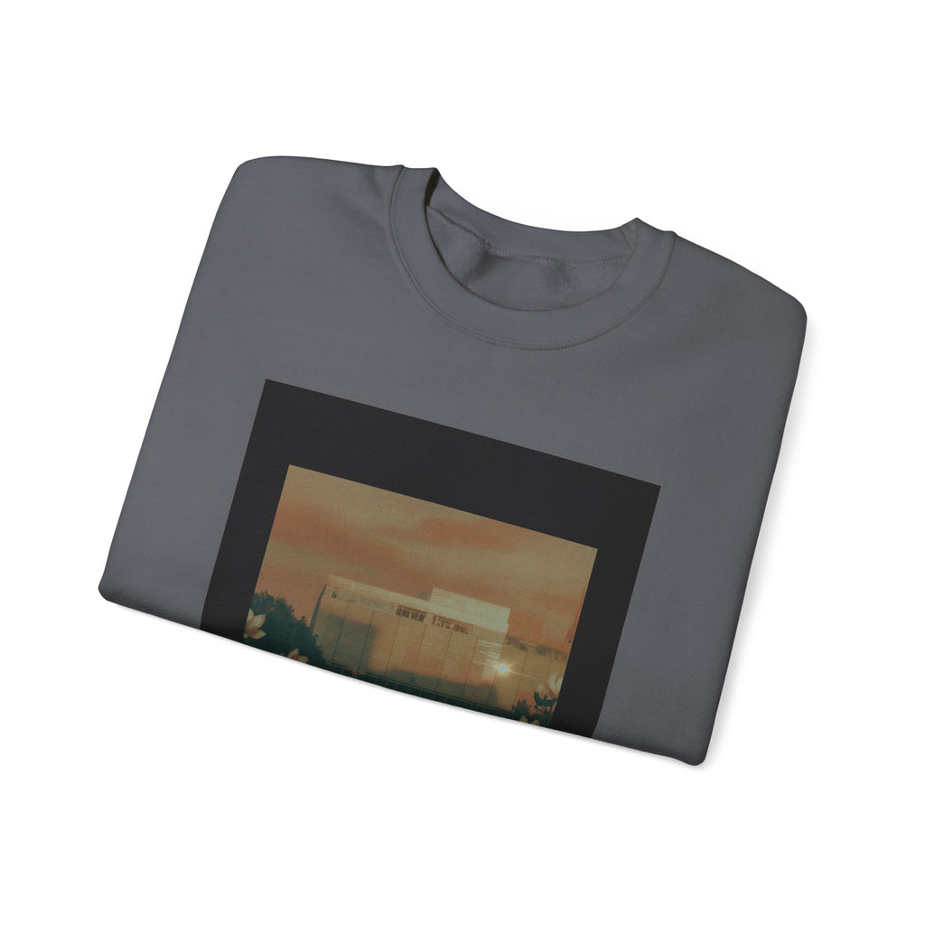 STEEL & SOUL crewneck sweatshirt — product view 17