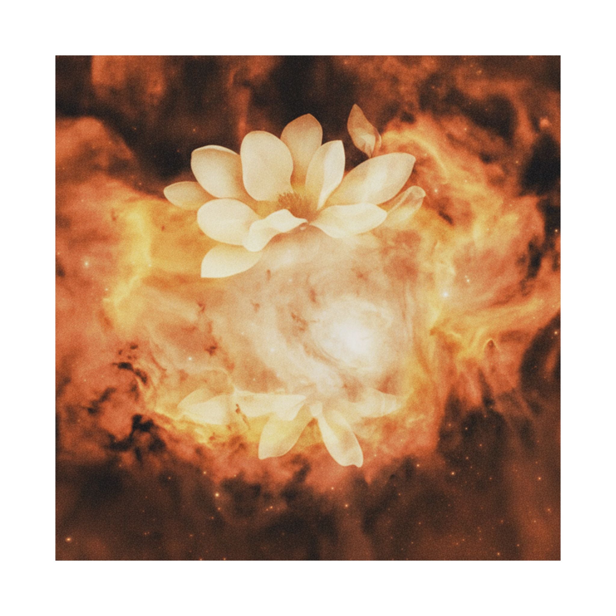 Southern Sunset — Object — Matte Poster