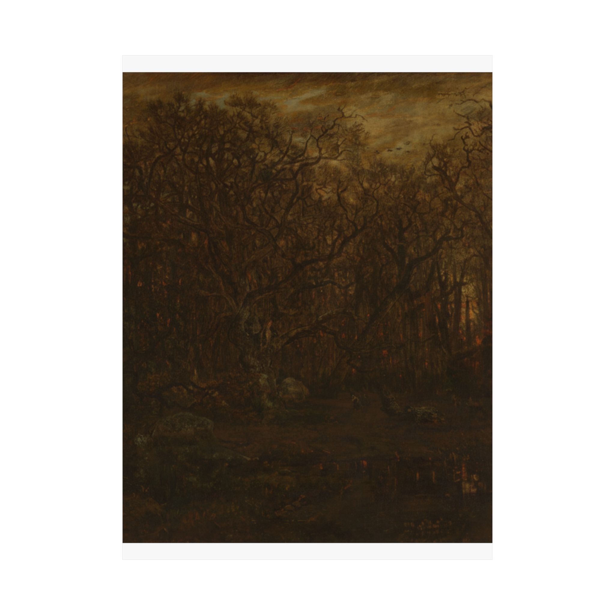 Scenic Nature — Forest — Matte Poster