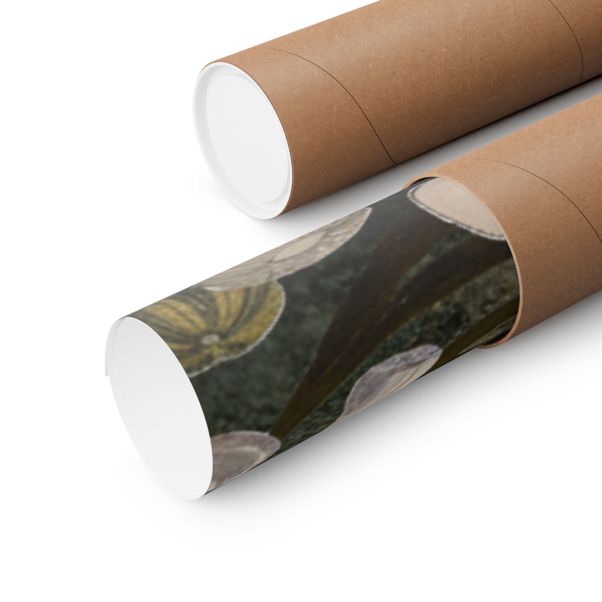 Scenic Nature — Shells Under Water — Matte Poster
