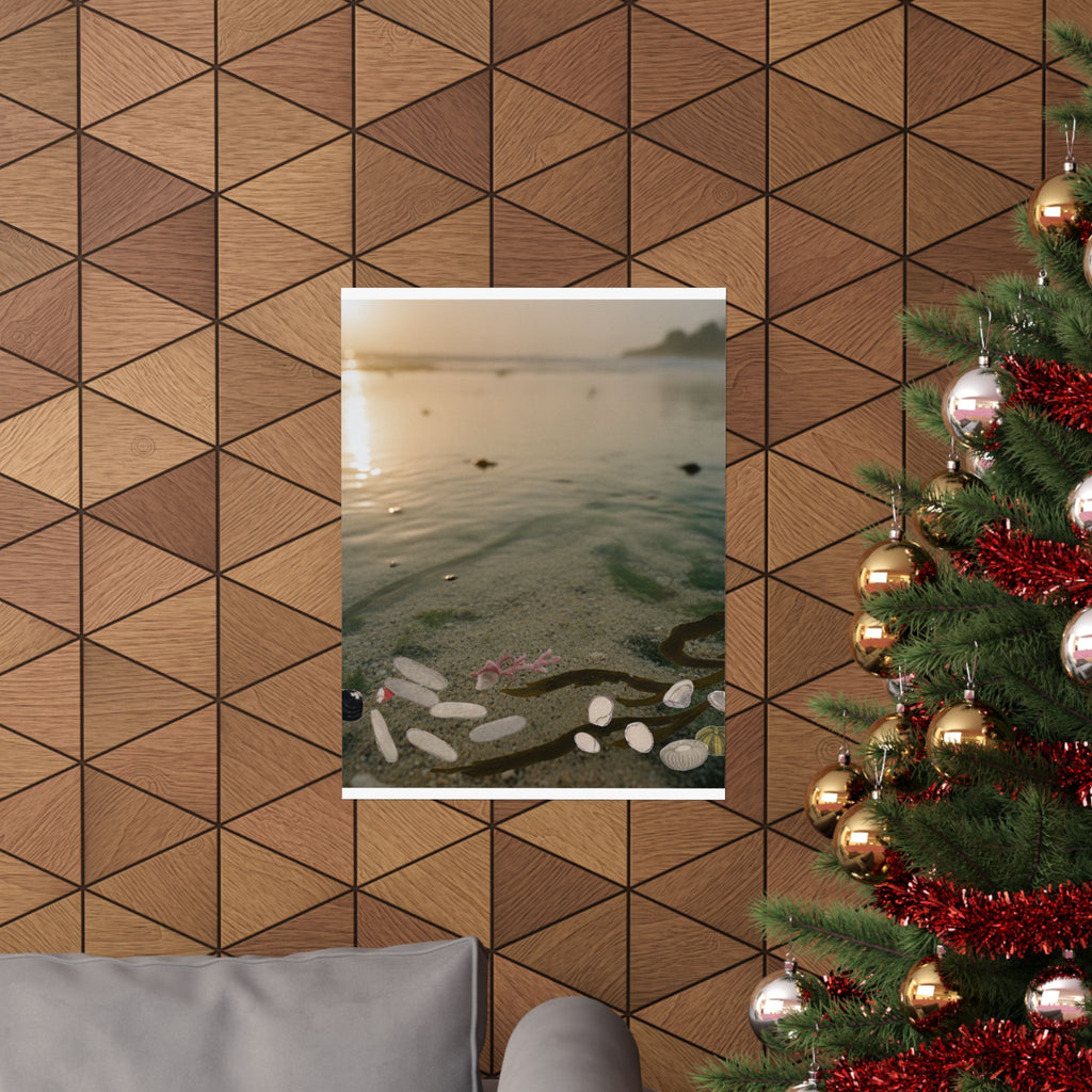 Scenic Nature — Shells Under Water — Matte Poster
