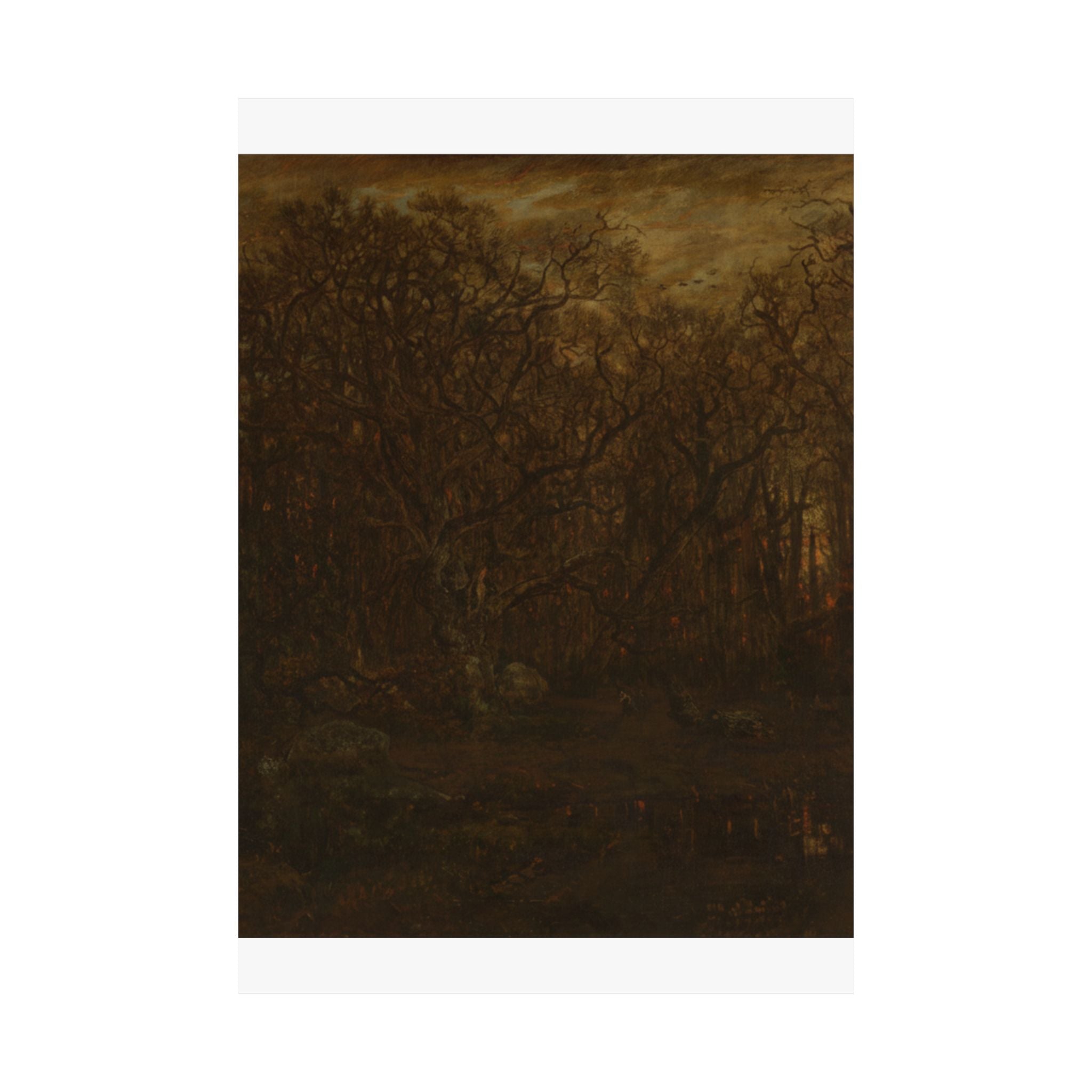 Scenic Nature — Forest — Matte Poster
