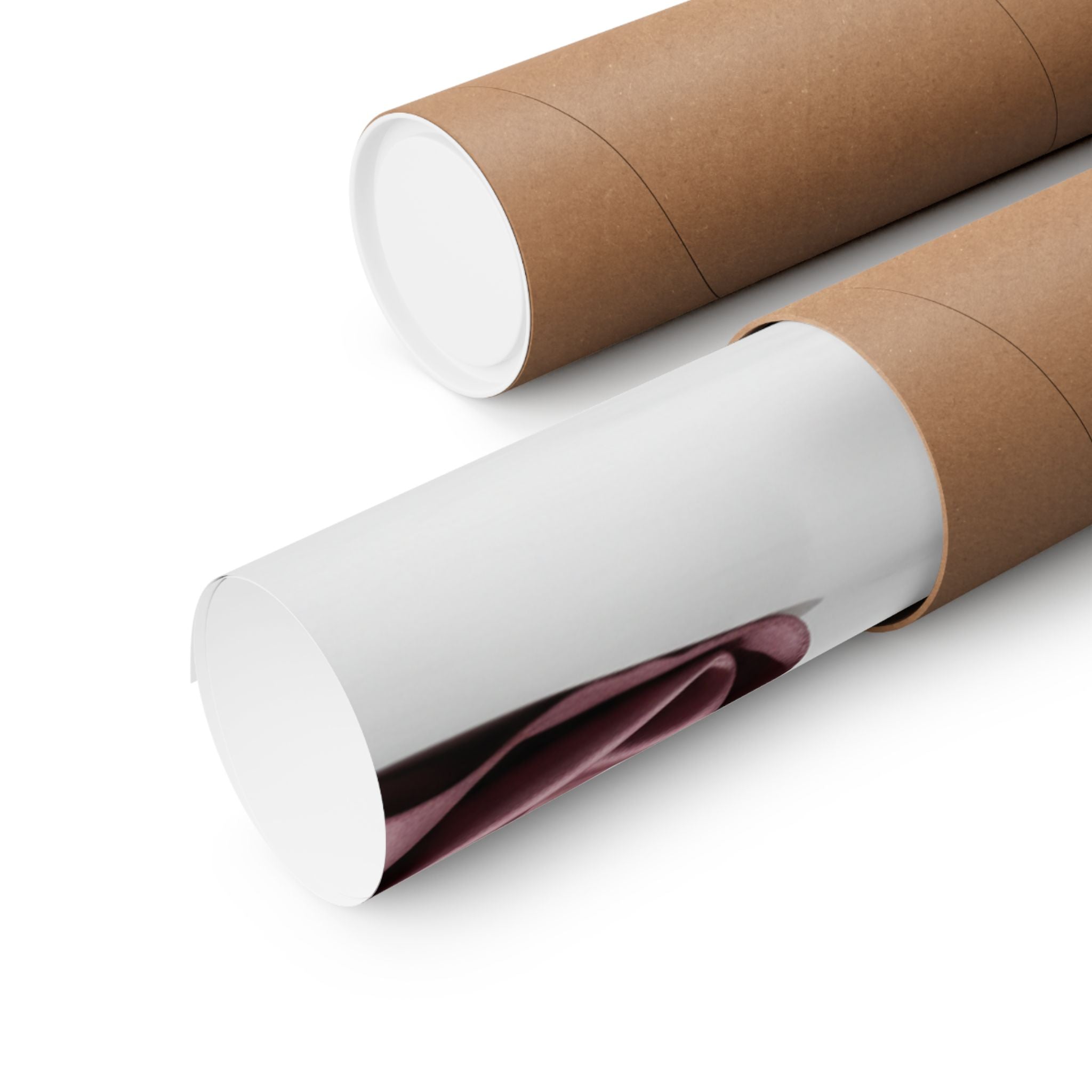 Product Marketing — The Warrior Slaying The Giant White Hihi — Matte Poster