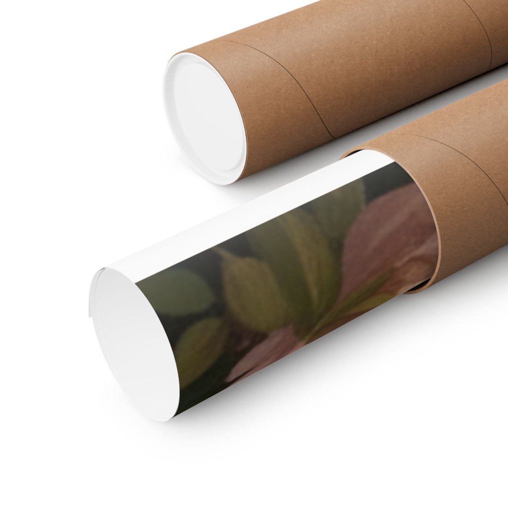 Scenic Nature — Bear — Matte Poster