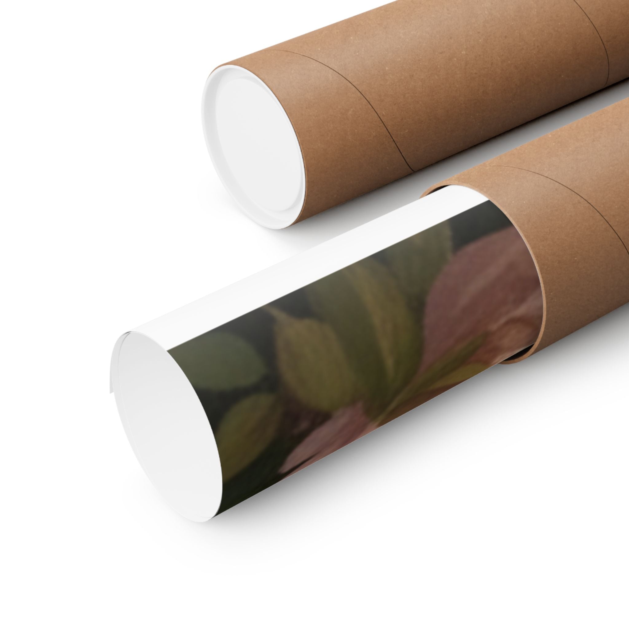 Scenic Nature — Bear — Matte Poster