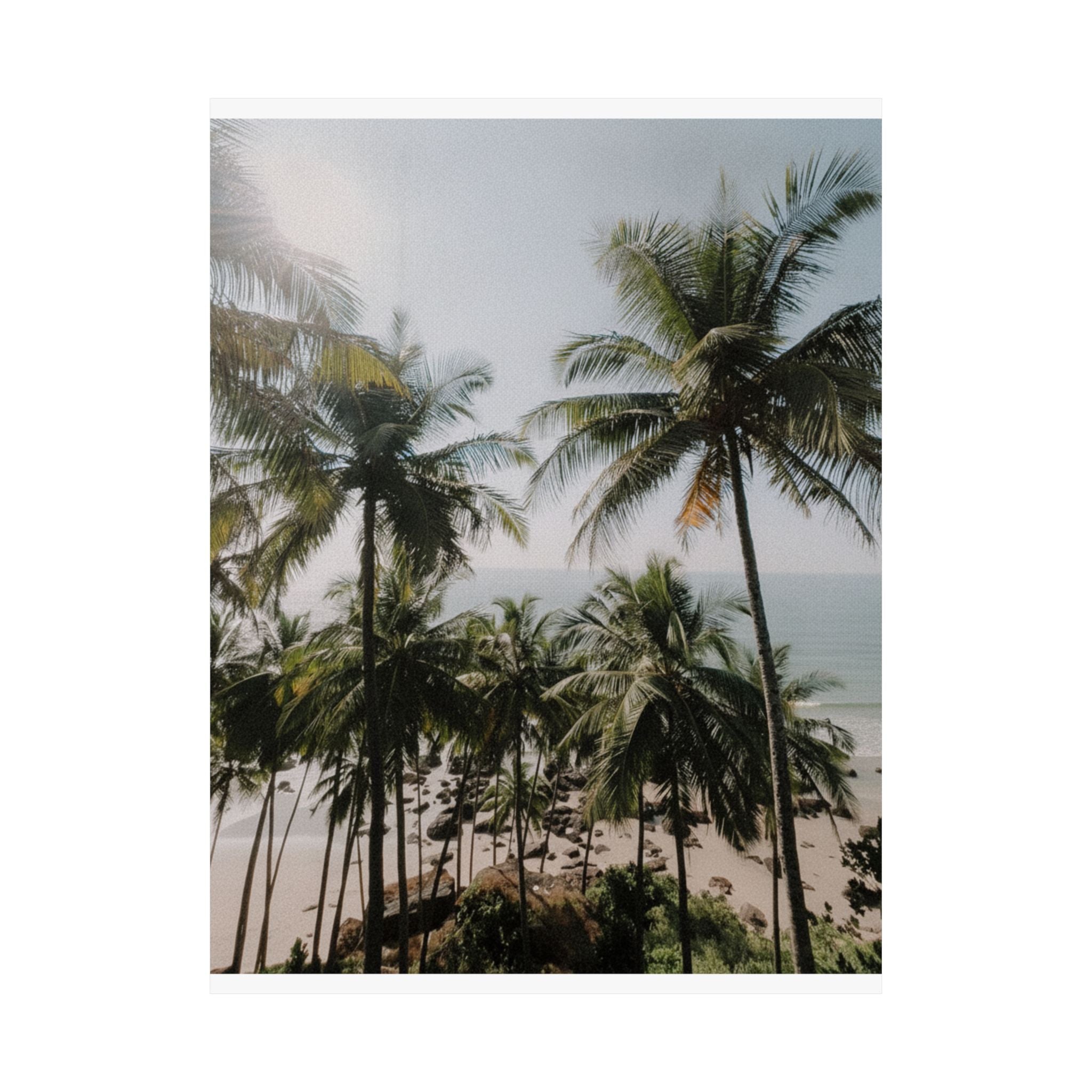 Cinematic — Palm — Matte Poster