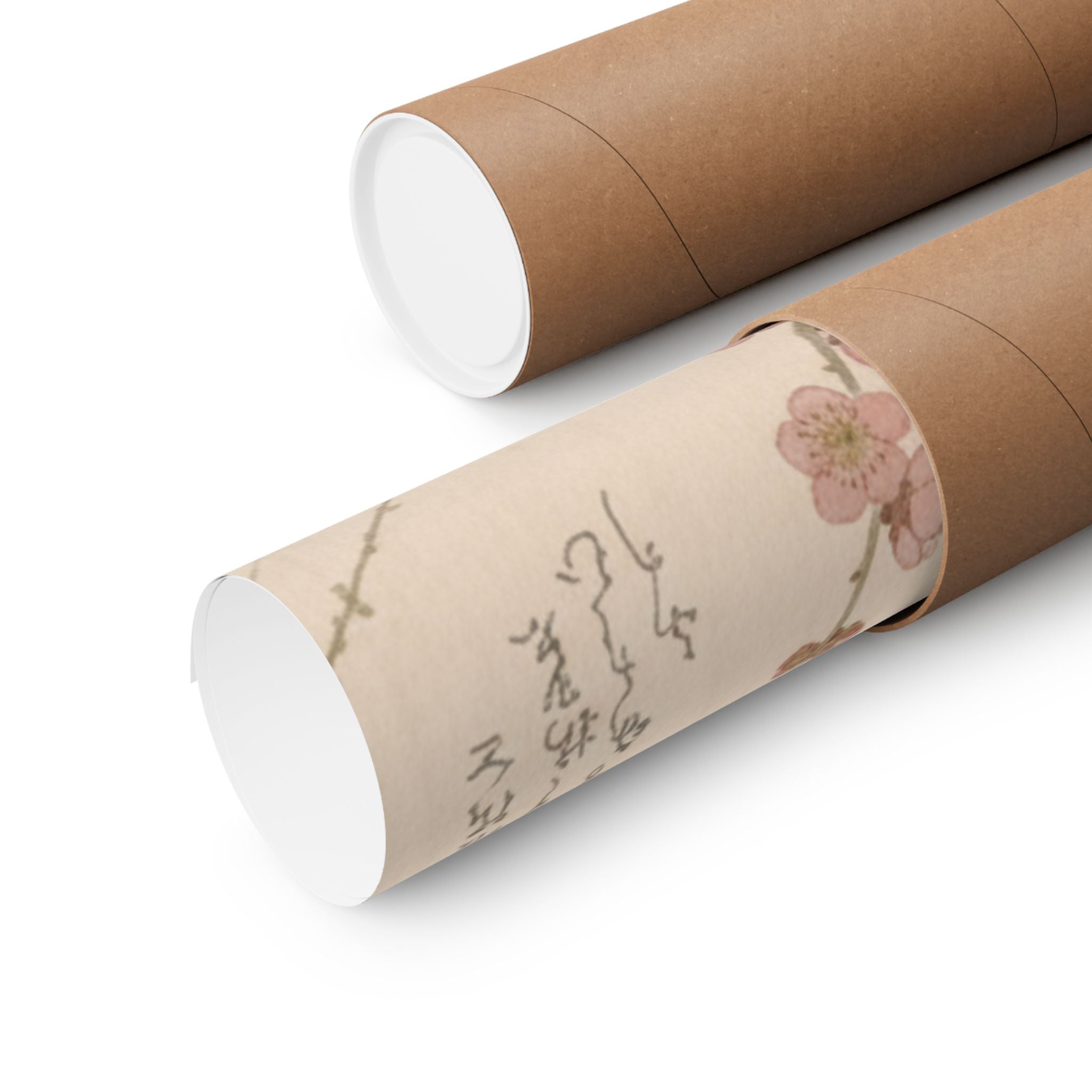 Botanical — Plum Blossom — Matte Poster