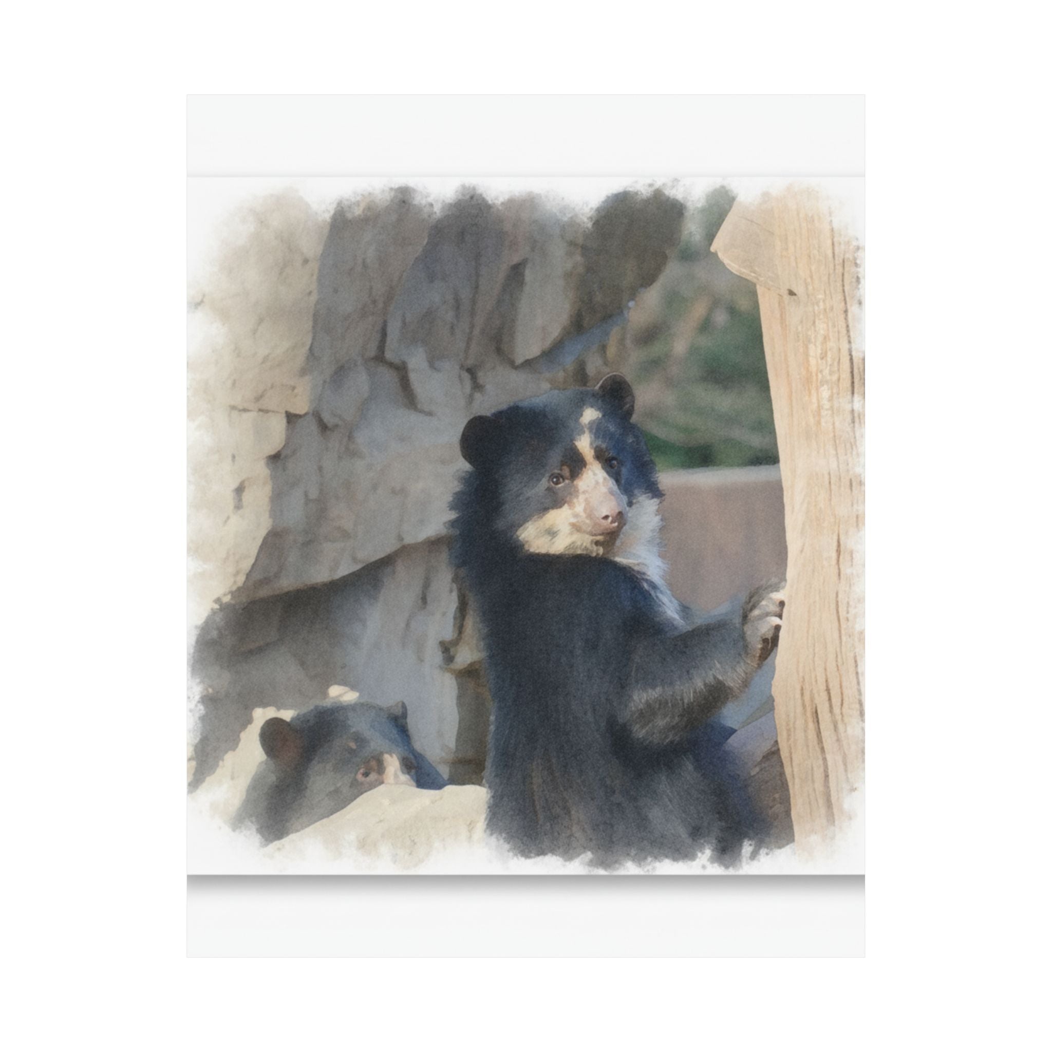 Watercolor — Bear — Matte Poster