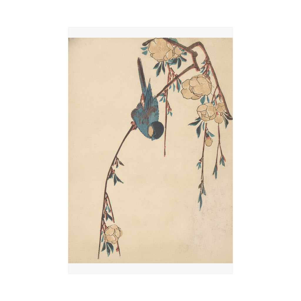 Botanical — Weeping Cherry — Matte Poster