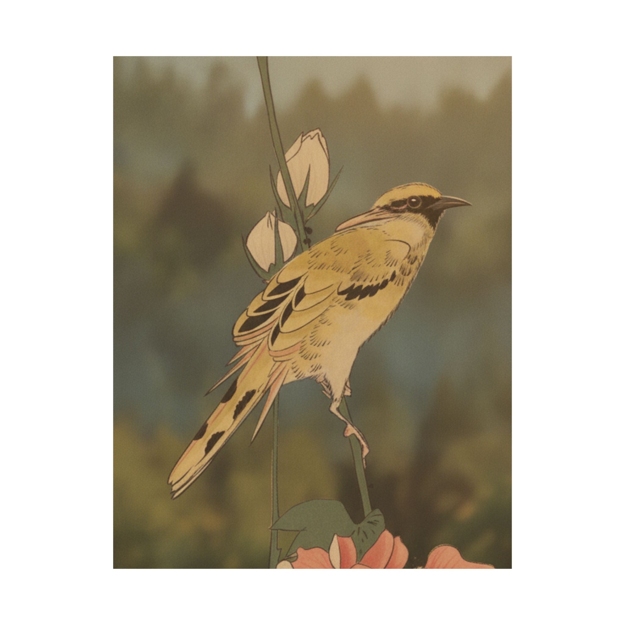 Scenic Nature — Black-Naped Oriole Perched On A Stem Of Rose Mallow — Matte Poster
