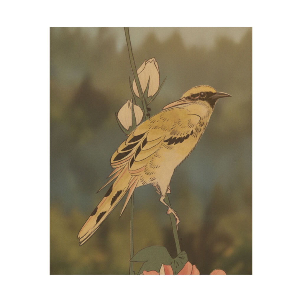 Scenic Nature — Black-Naped Oriole Perched On A Stem Of Rose Mallow — Matte Poster