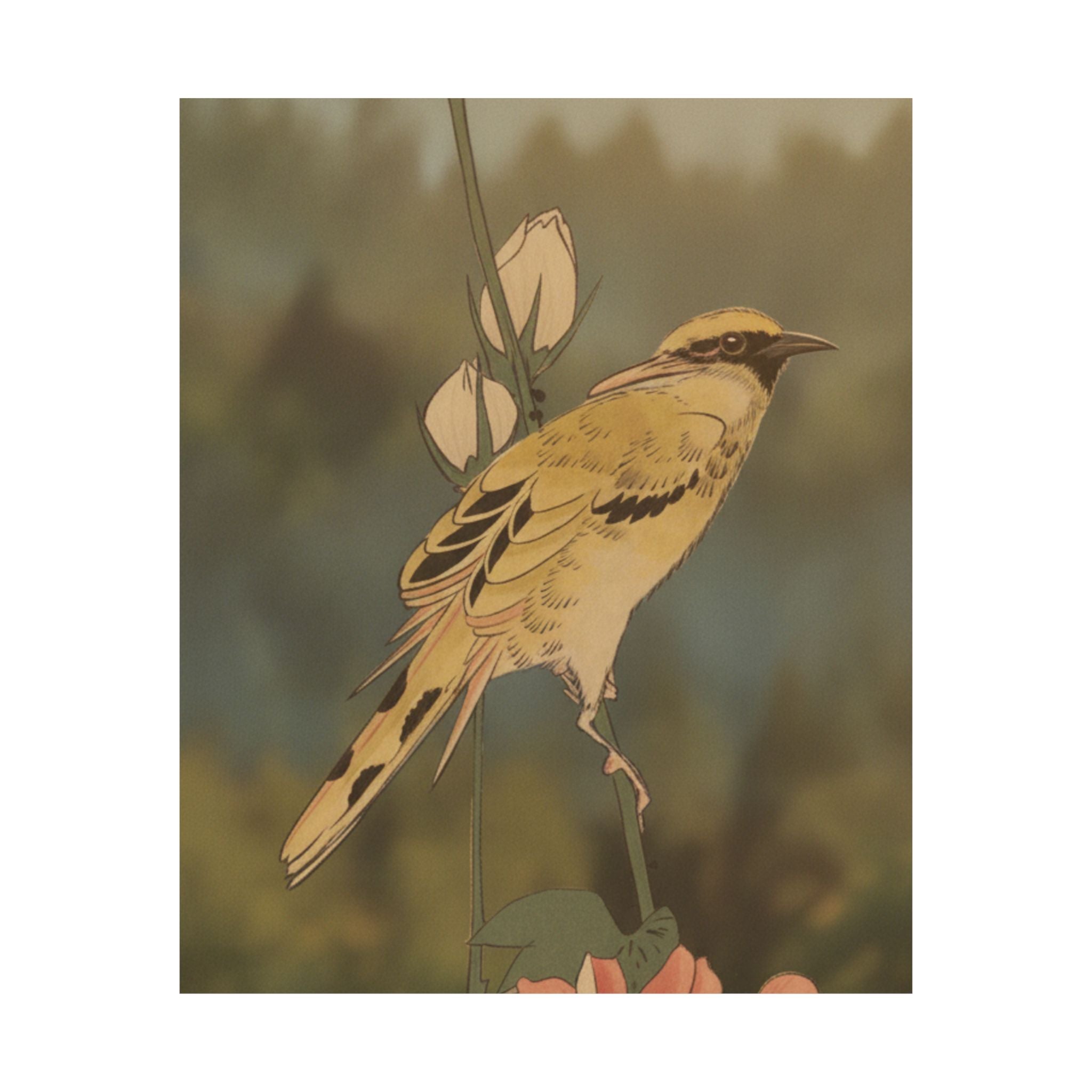 Scenic Nature — Black-Naped Oriole Perched On A Stem Of Rose Mallow — Matte Poster