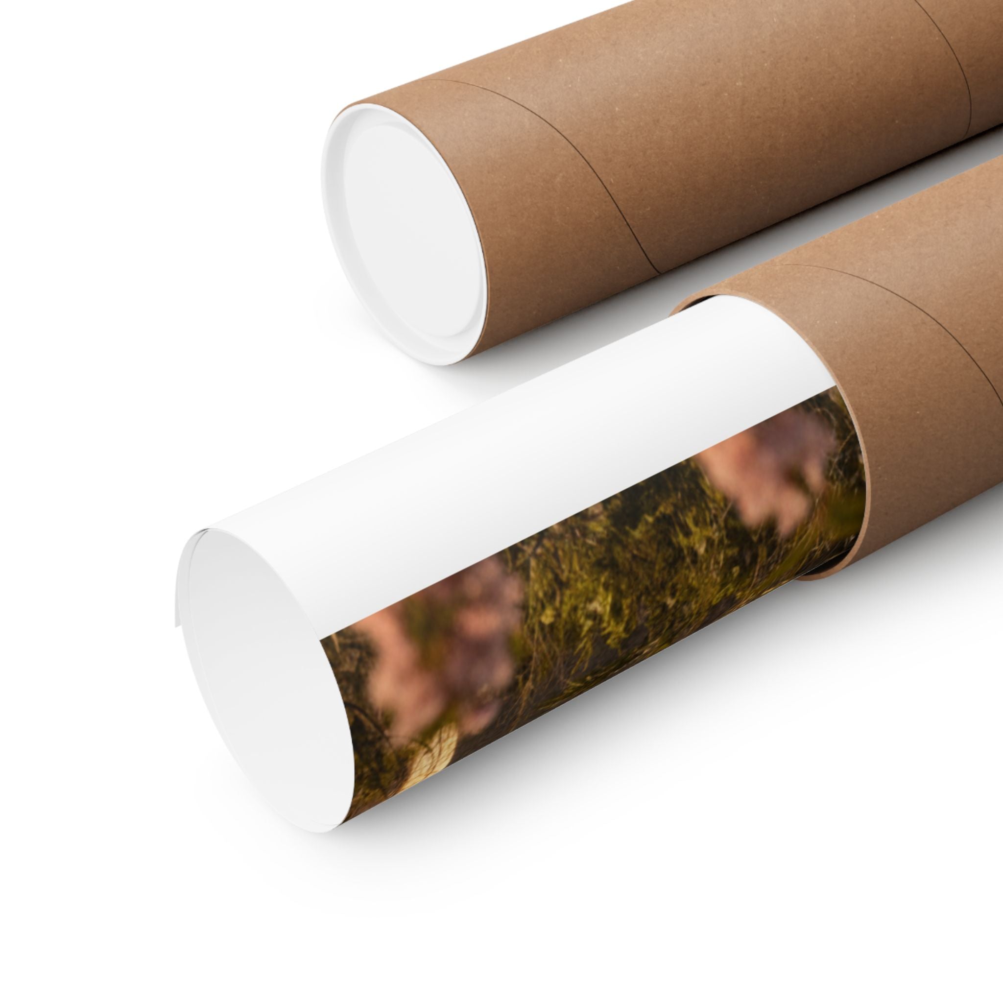 Scenic Nature — Fortress — Matte Poster