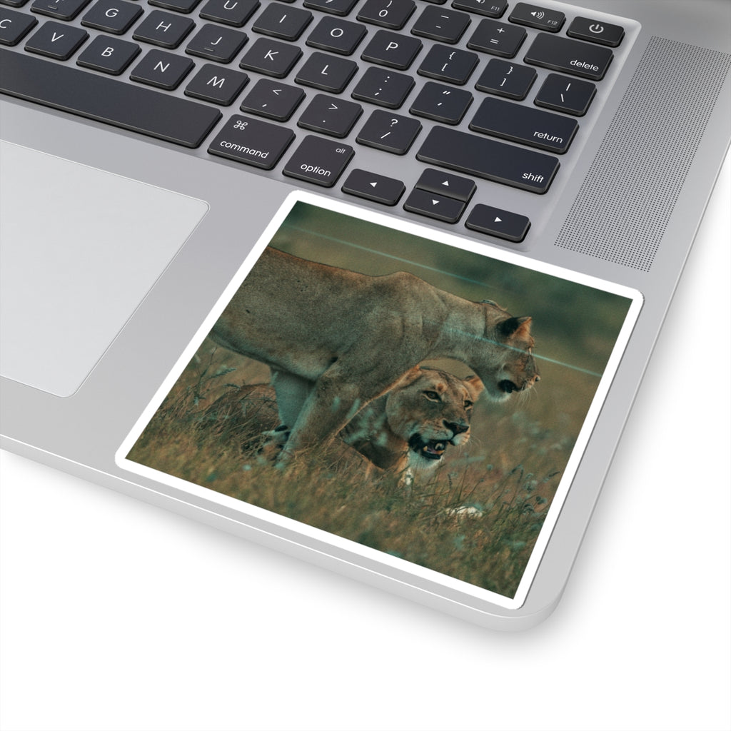 Cinematic — Lions — Kiss-Cut Sticker