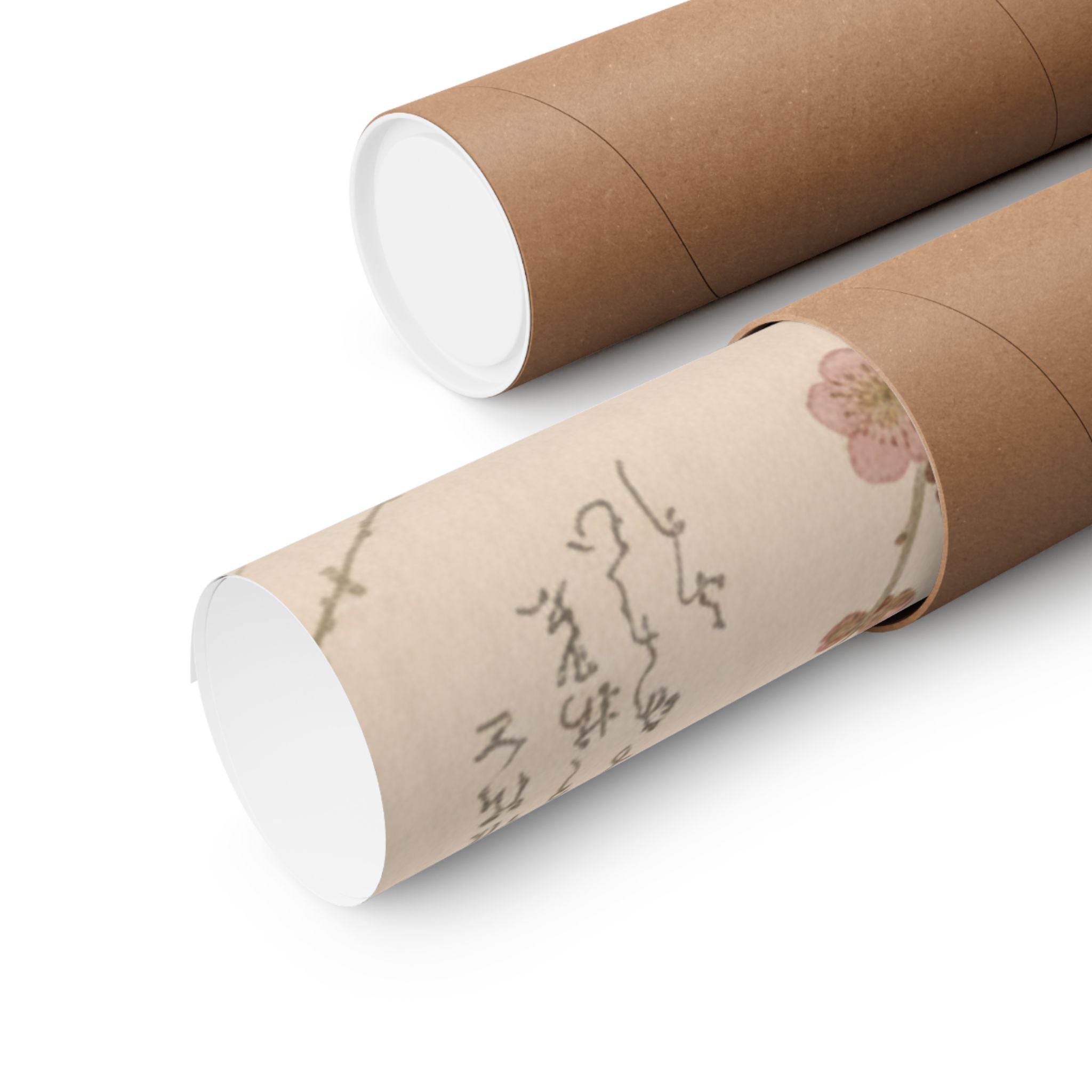 Botanical — Plum Blossom — Matte Poster