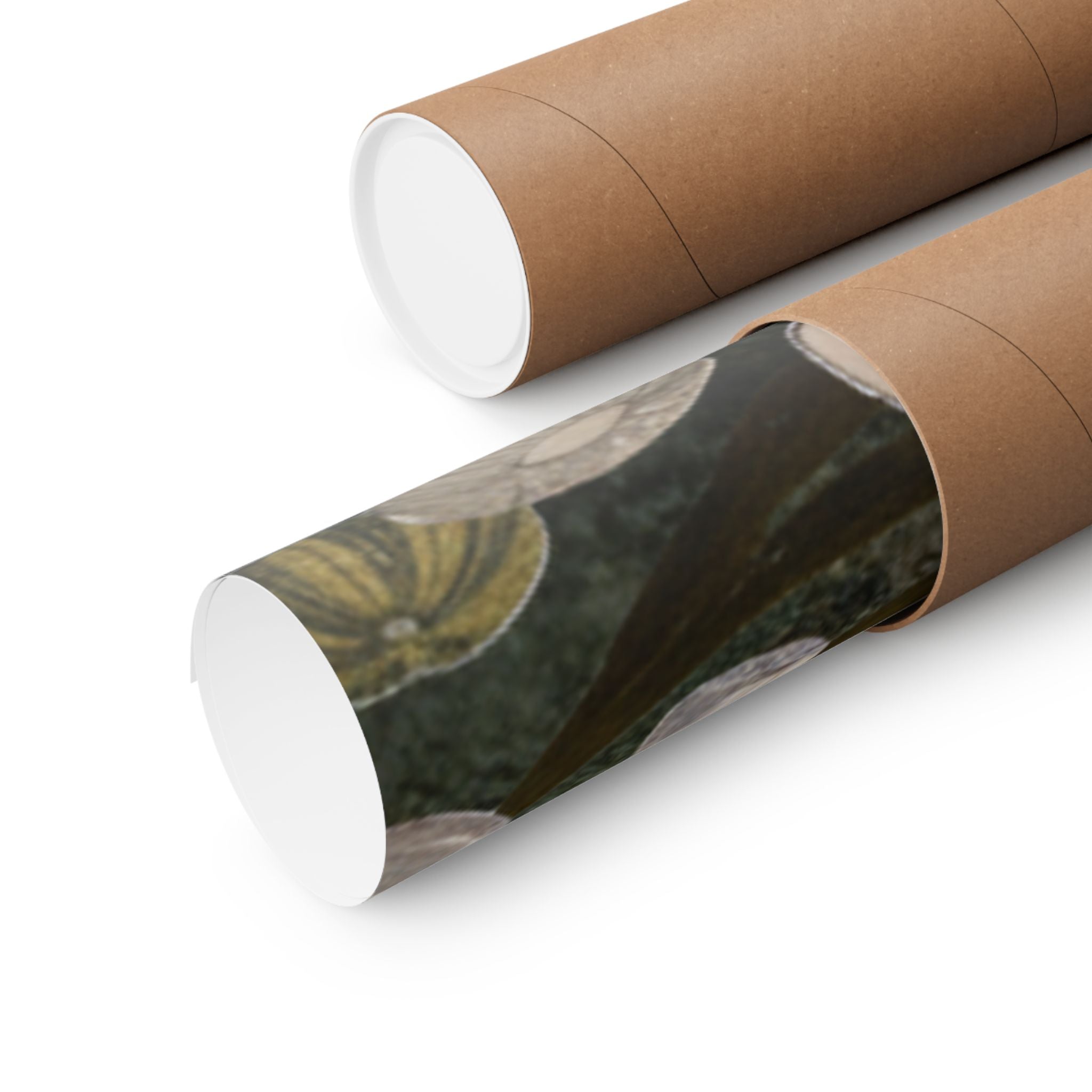 Scenic Nature — Shells Under Water — Matte Poster
