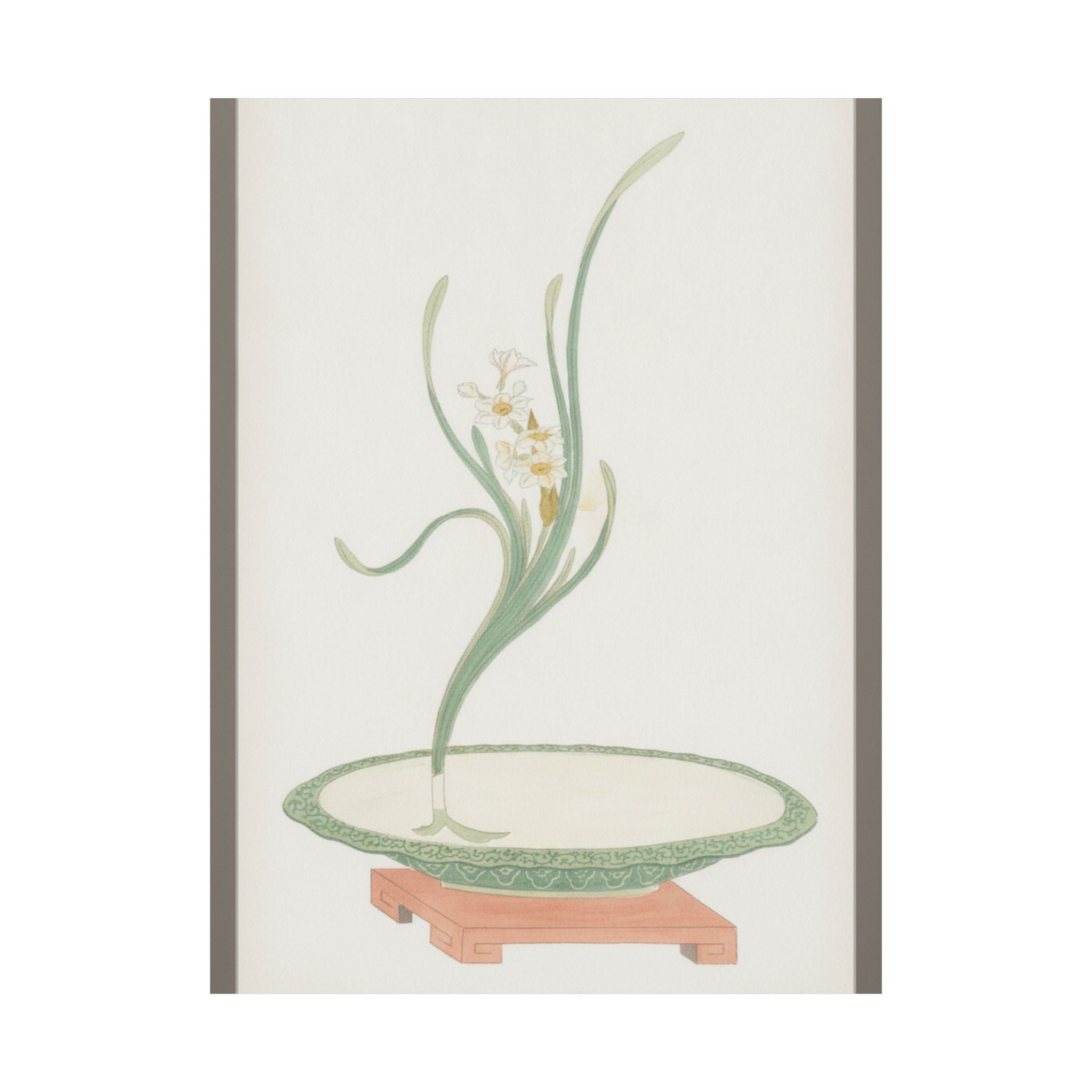 Watercolor — Flower Arrangement Of Suisen (Narcissus) In A Flat Green Dish — Matte Poster