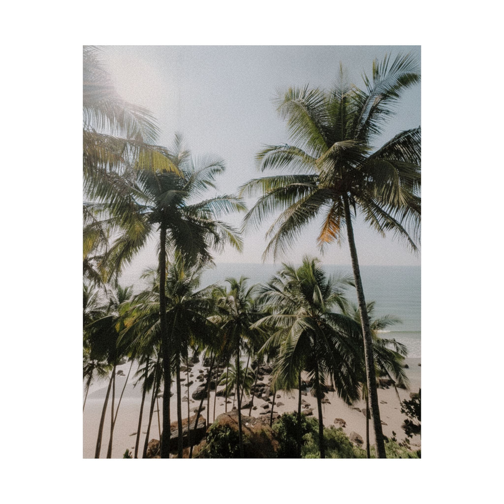 Cinematic — Palm — Matte Poster