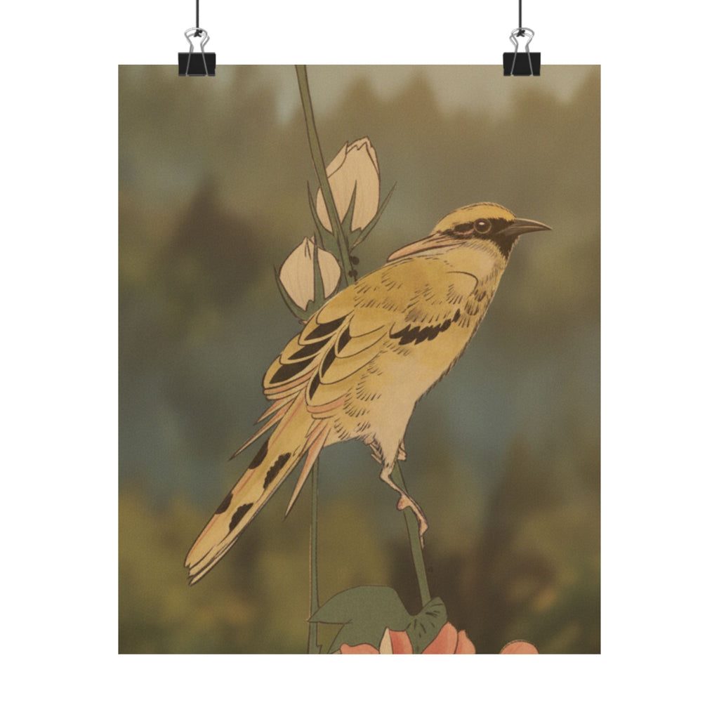 Scenic Nature — Black-Naped Oriole Perched On A Stem Of Rose Mallow — Matte Poster
