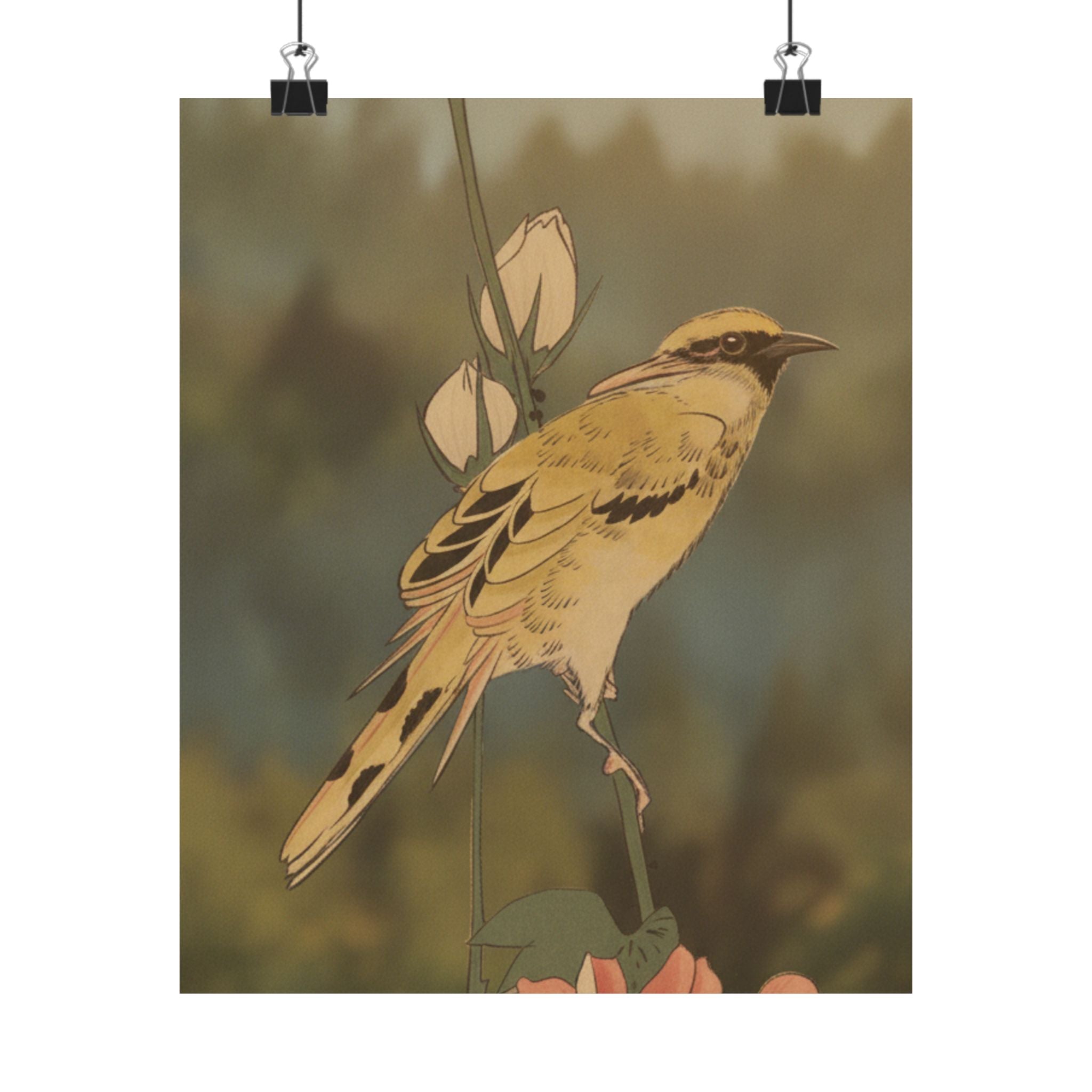Scenic Nature — Black-Naped Oriole Perched On A Stem Of Rose Mallow — Matte Poster