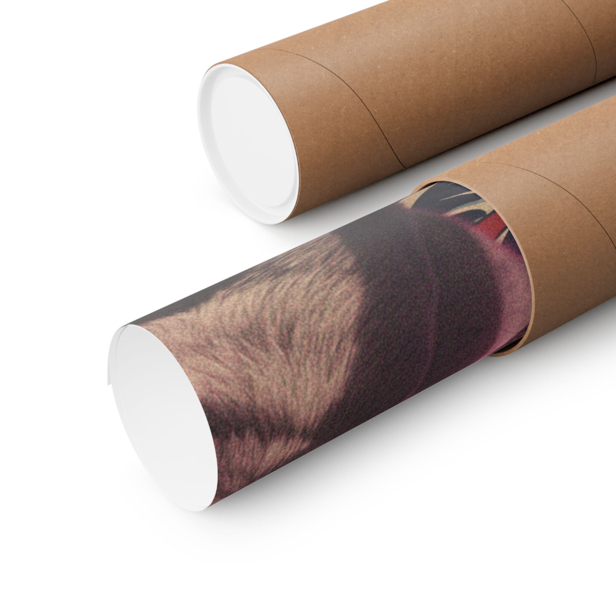 Japanese Street — Dog — Matte Poster