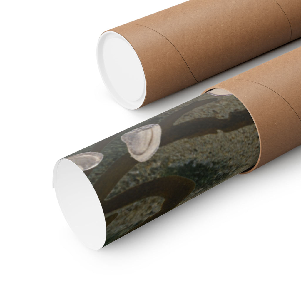 Scenic Nature — Shells Under Water — Matte Poster