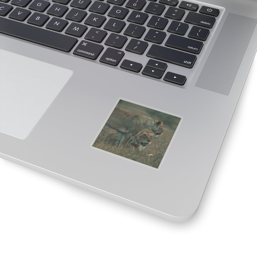 Cinematic — Lions — Kiss-Cut Sticker