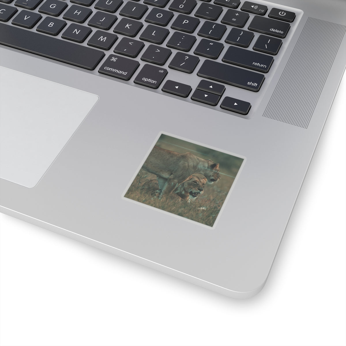 Cinematic — Lions — Kiss-Cut Sticker