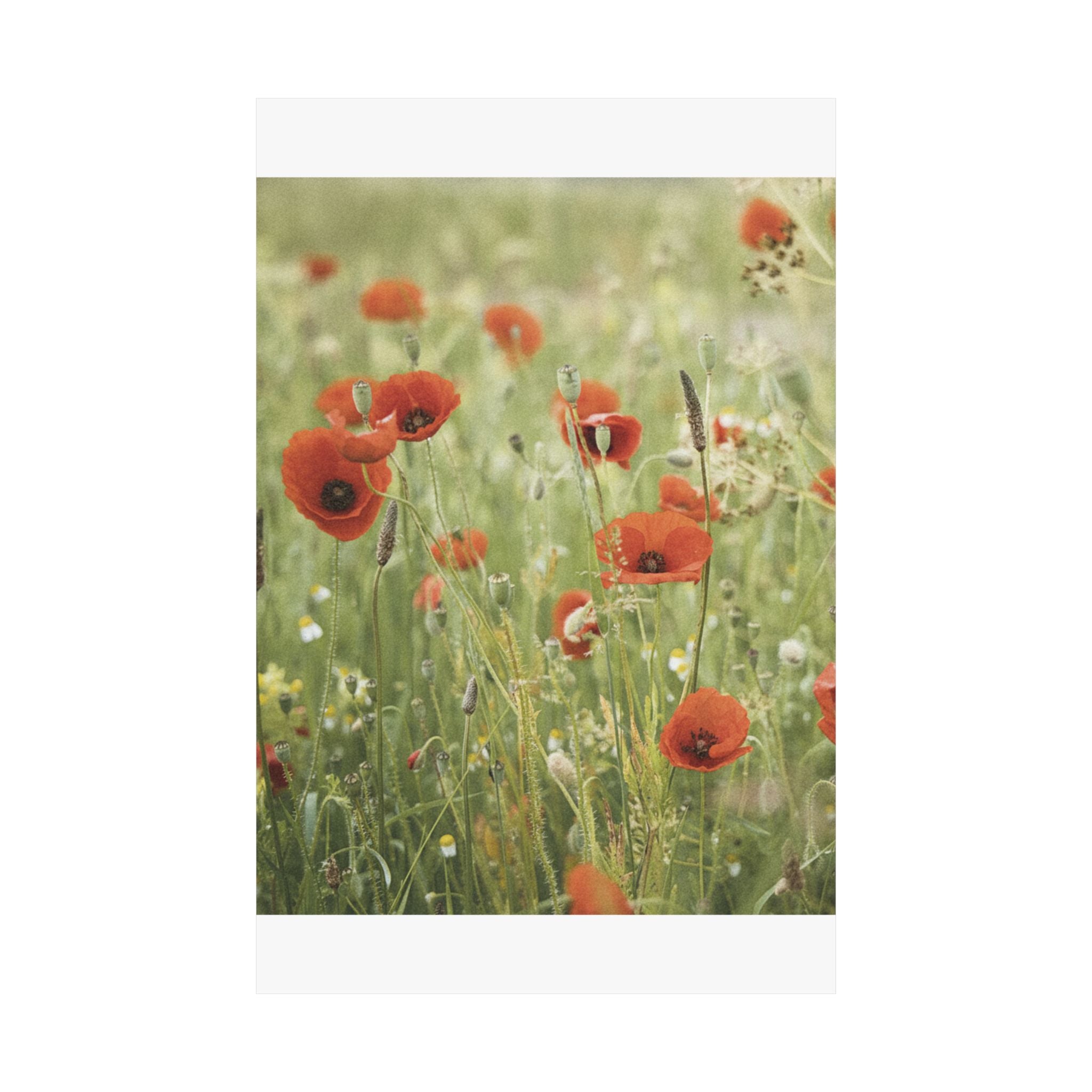 Watercolor — Flower — Matte Poster